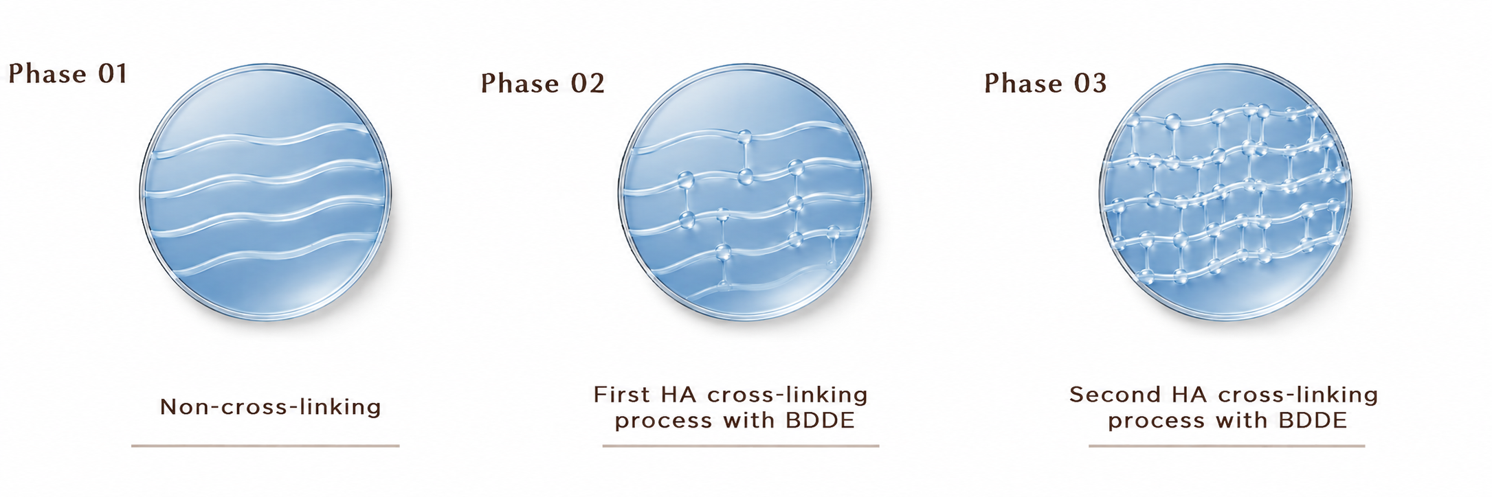 Three illustrated phases from non-cross-linked HA through two BDDE cross-linking stages, on a white background