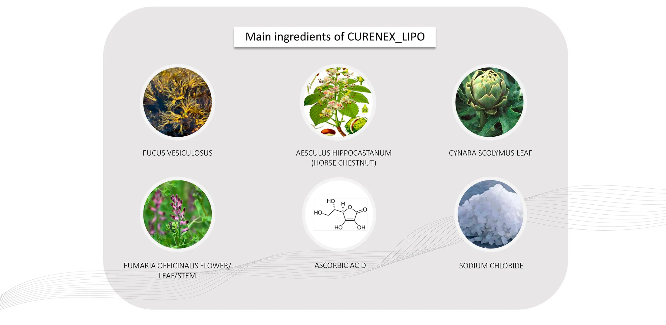 Curenex Lipo · product information