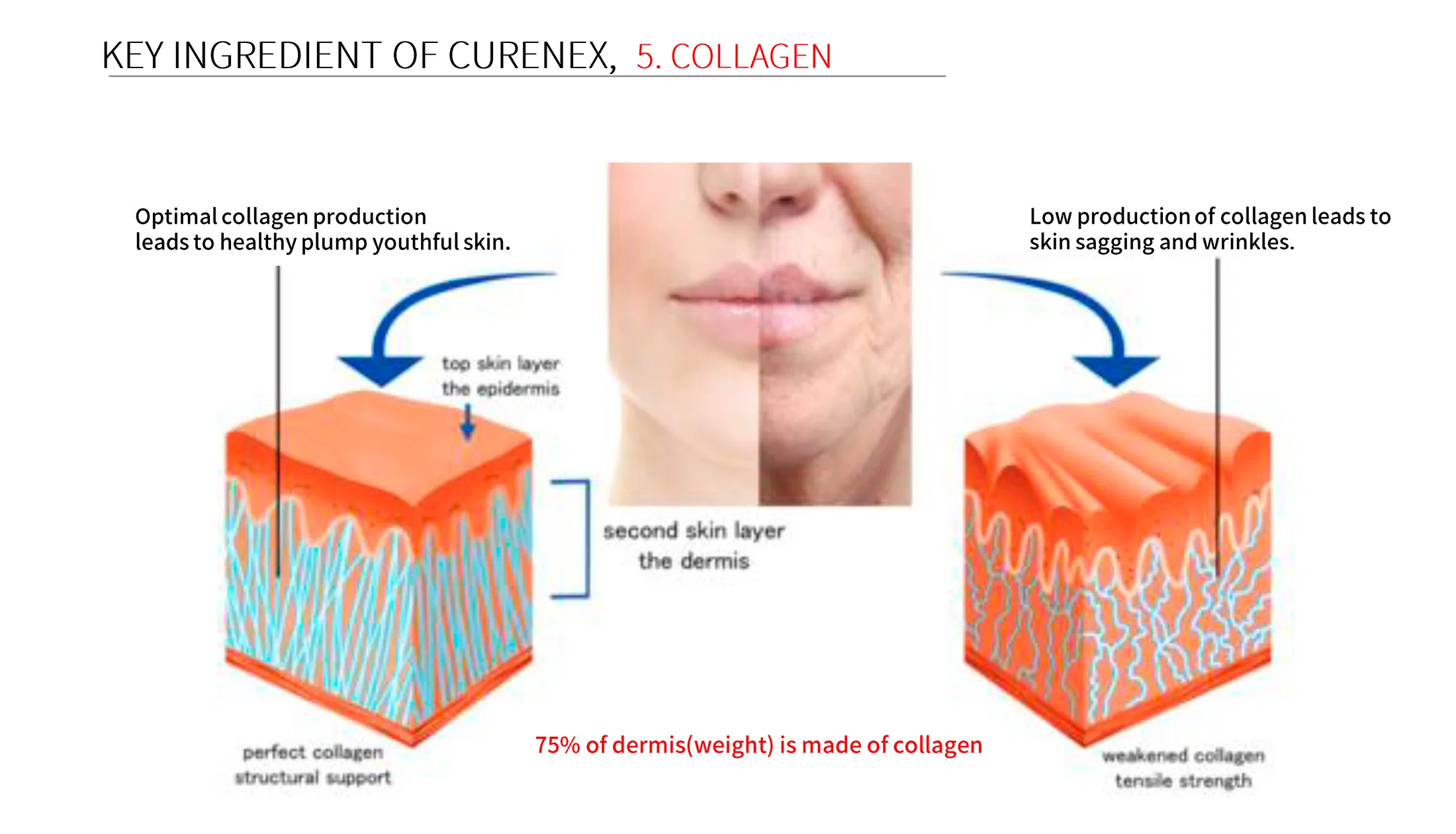 Curenex Rejuvenating Solution · product information