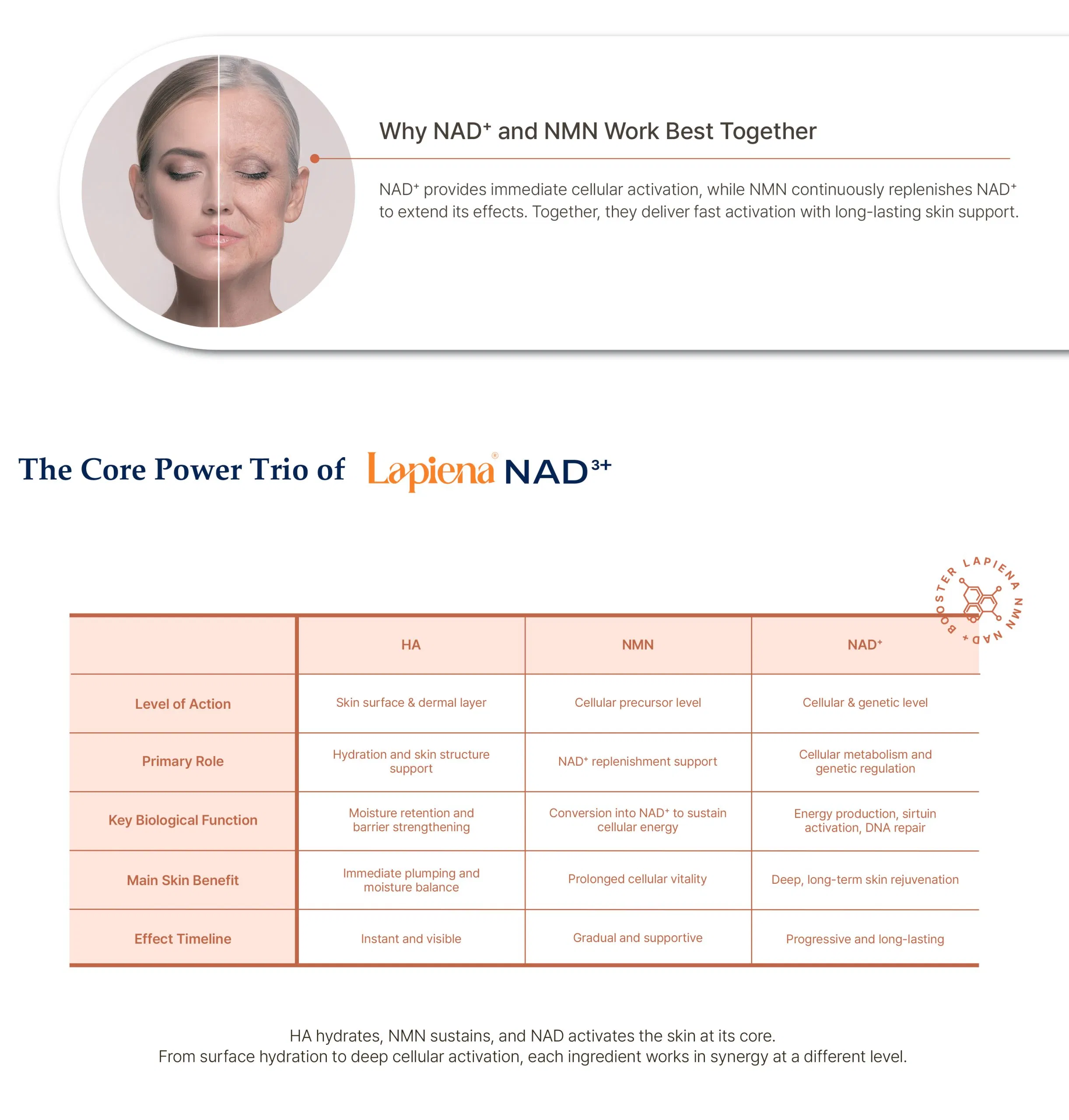 Lapiena NAD3+ · información del producto
