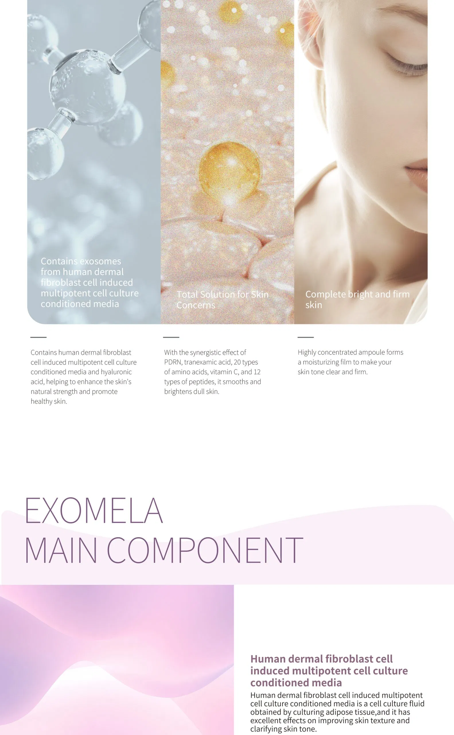 GTM Exomela · product information