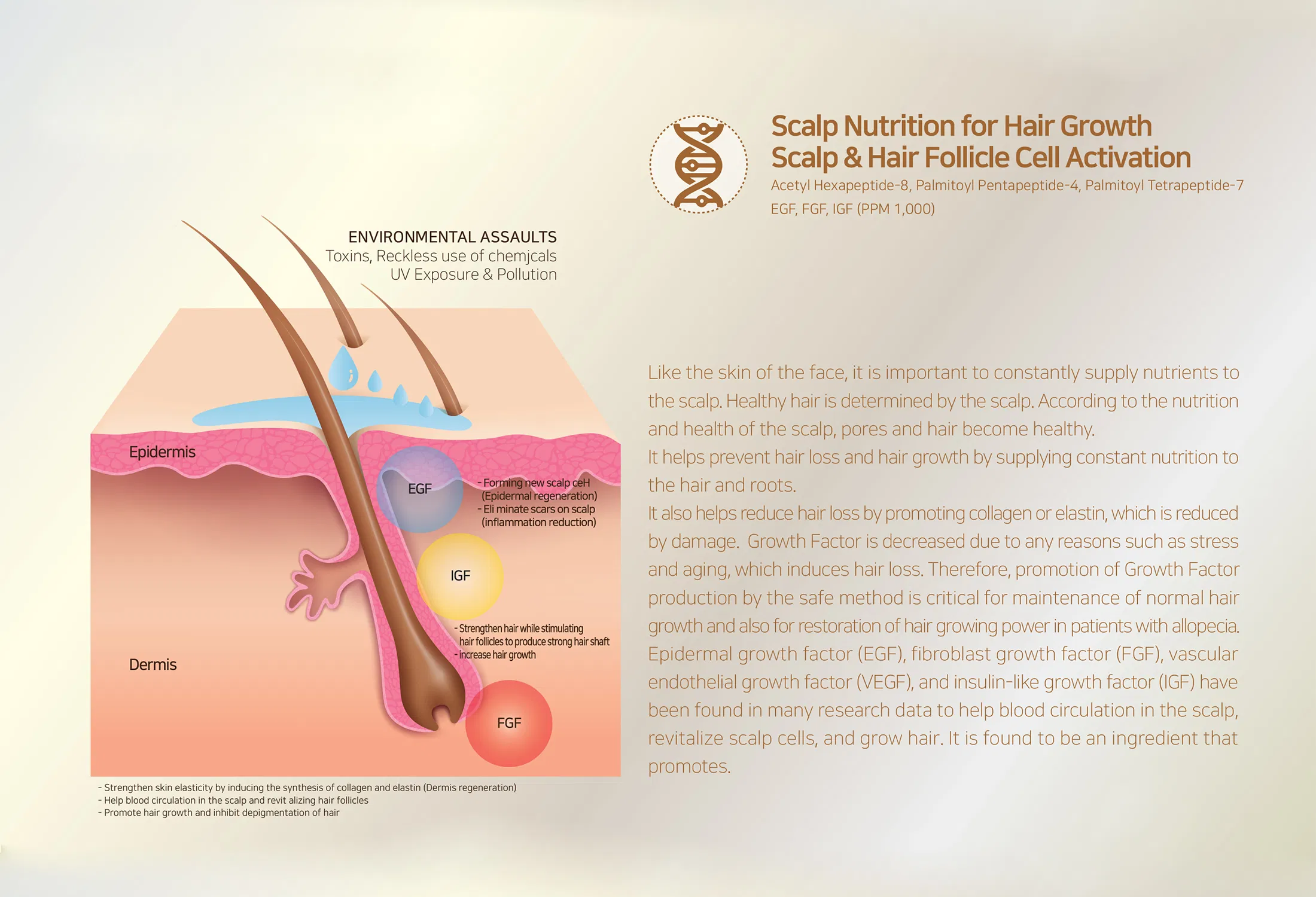 Sappire Hair Rich · información del producto