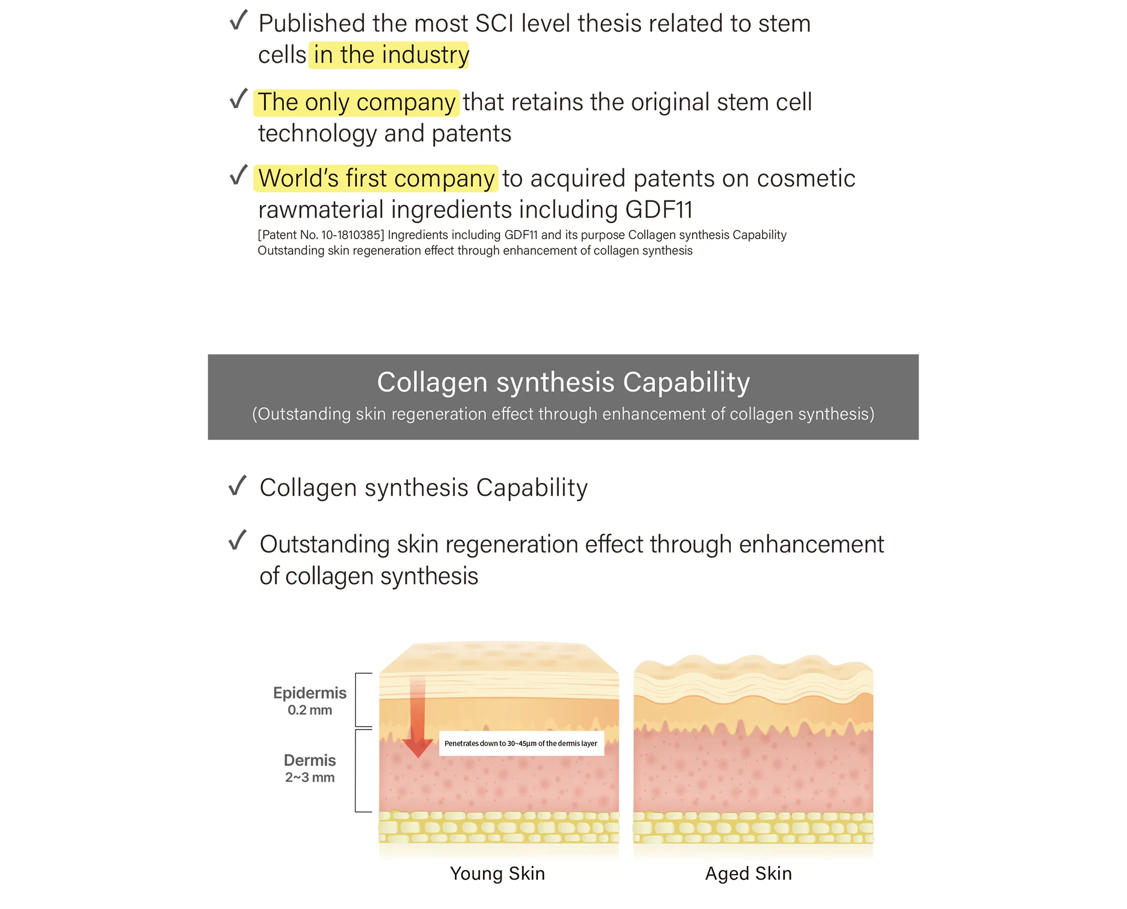 Cellsia Cream · product information