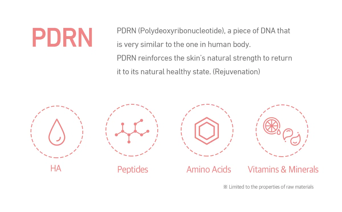 Lapuroon Aurora Super · product information
