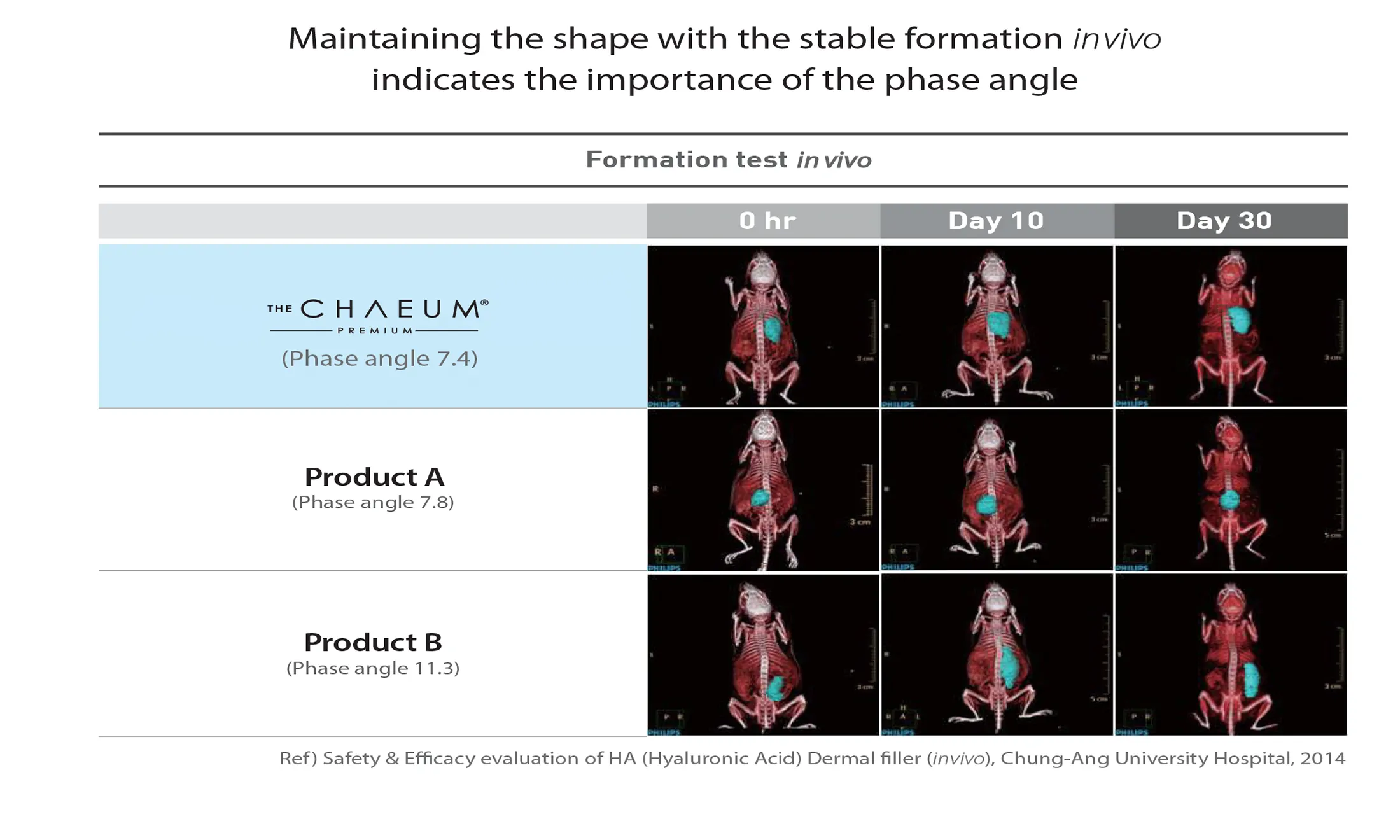 The Chaeum Premium #2 · product information