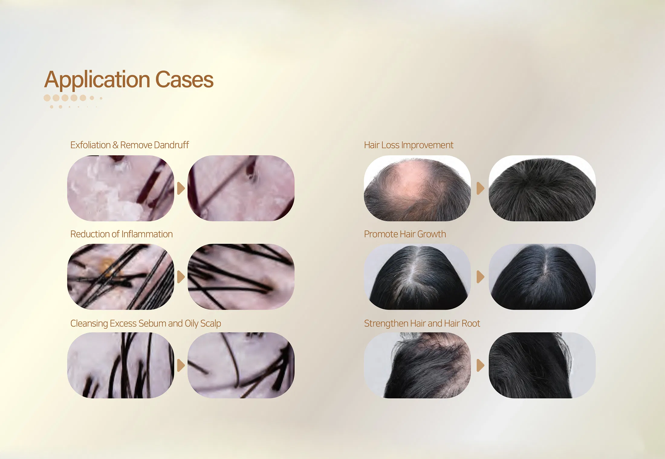 Sappire Hair Rich · información del producto