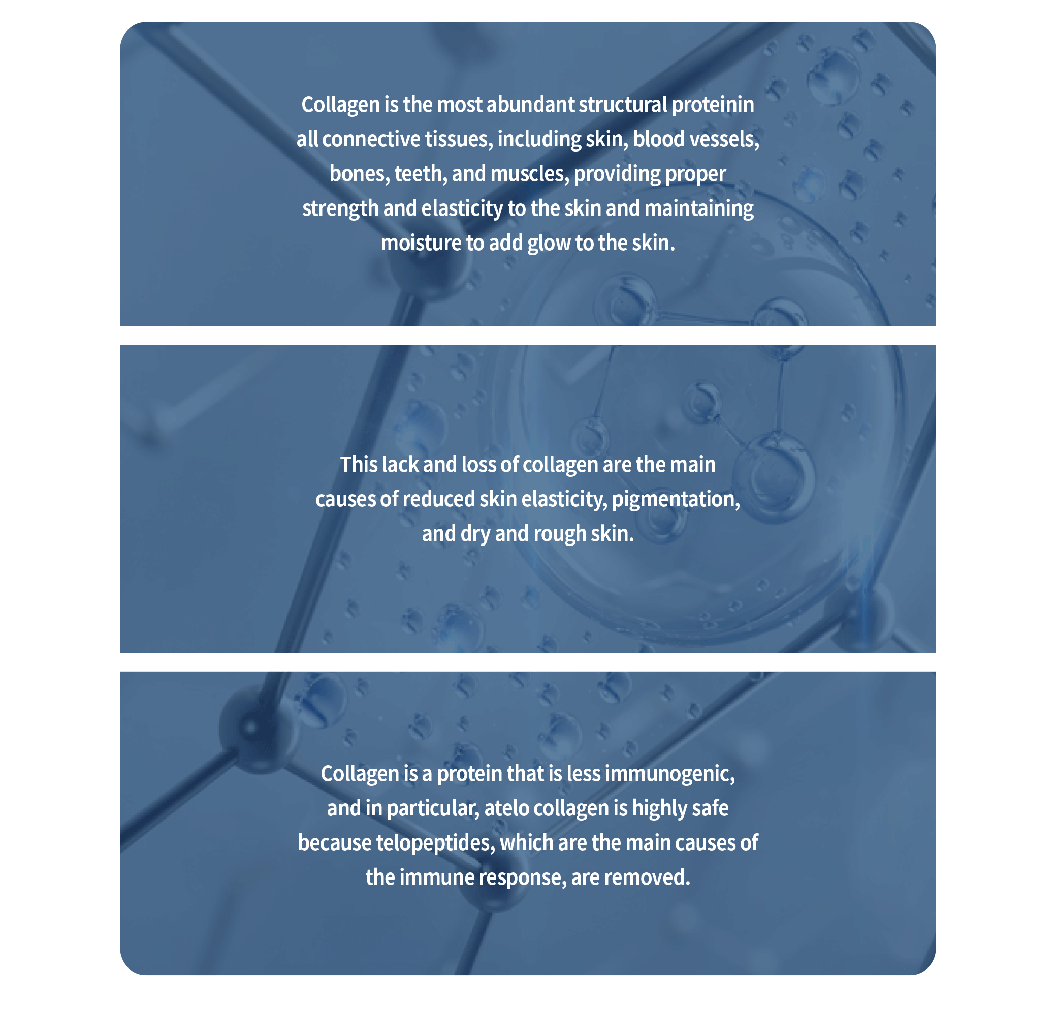 Richesse Collafilo · product information