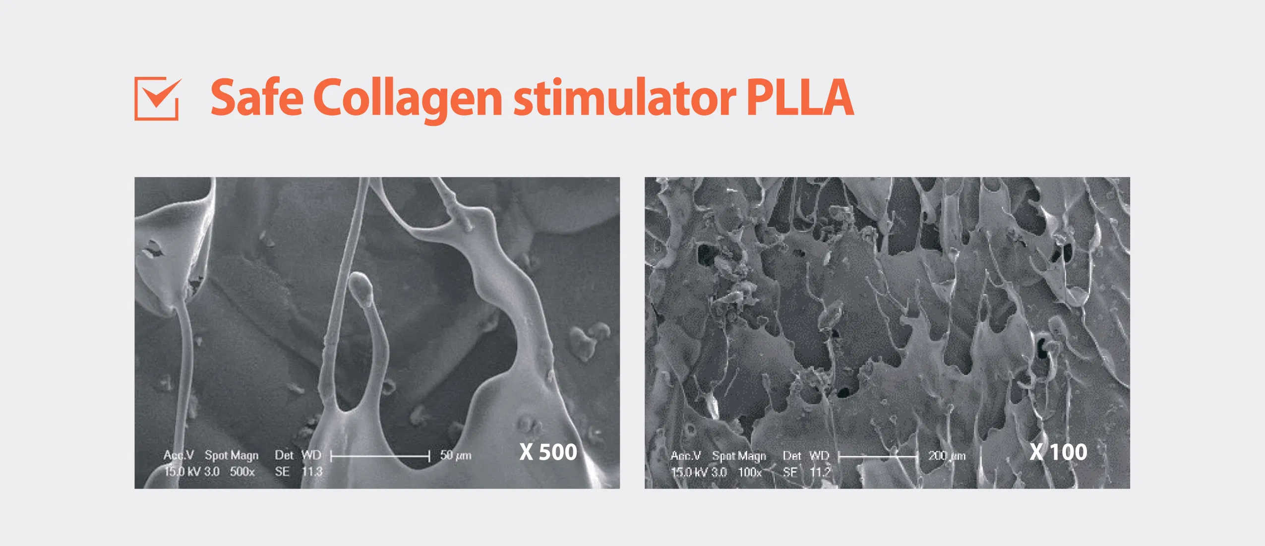 Olidia · product information