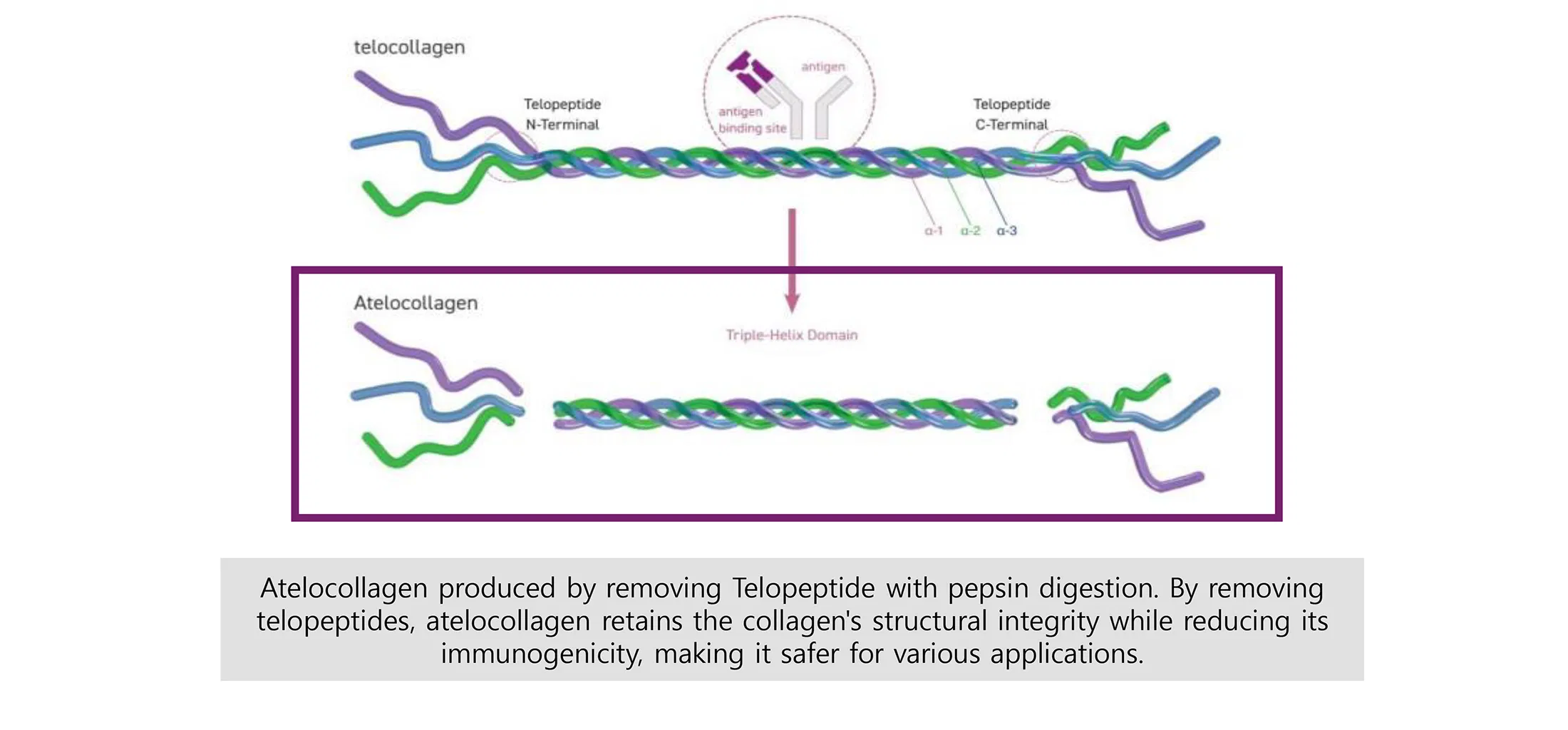 Collaju · product information