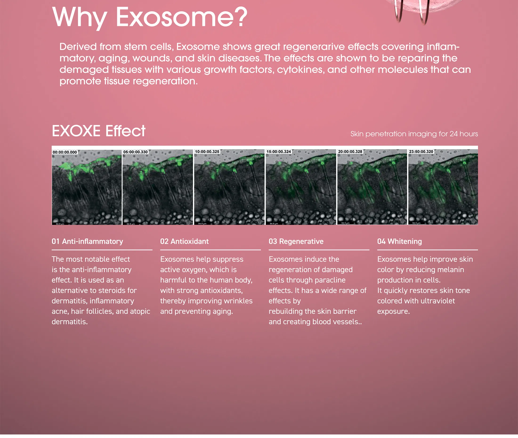 EXOXE · información del producto