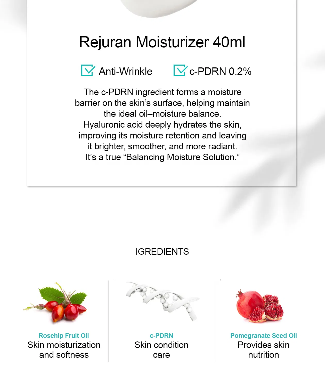 Rejuran Moisturizer · product information