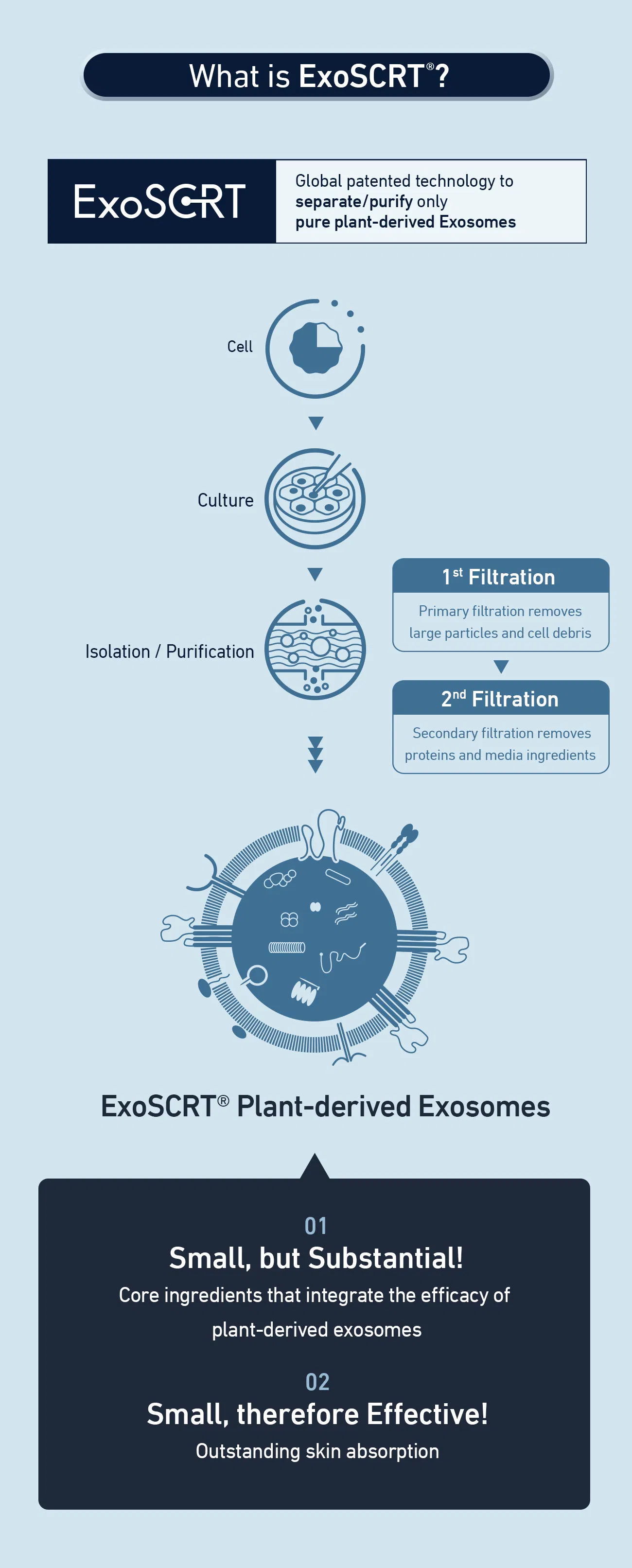 ASCE Plus EXOBALM · product information