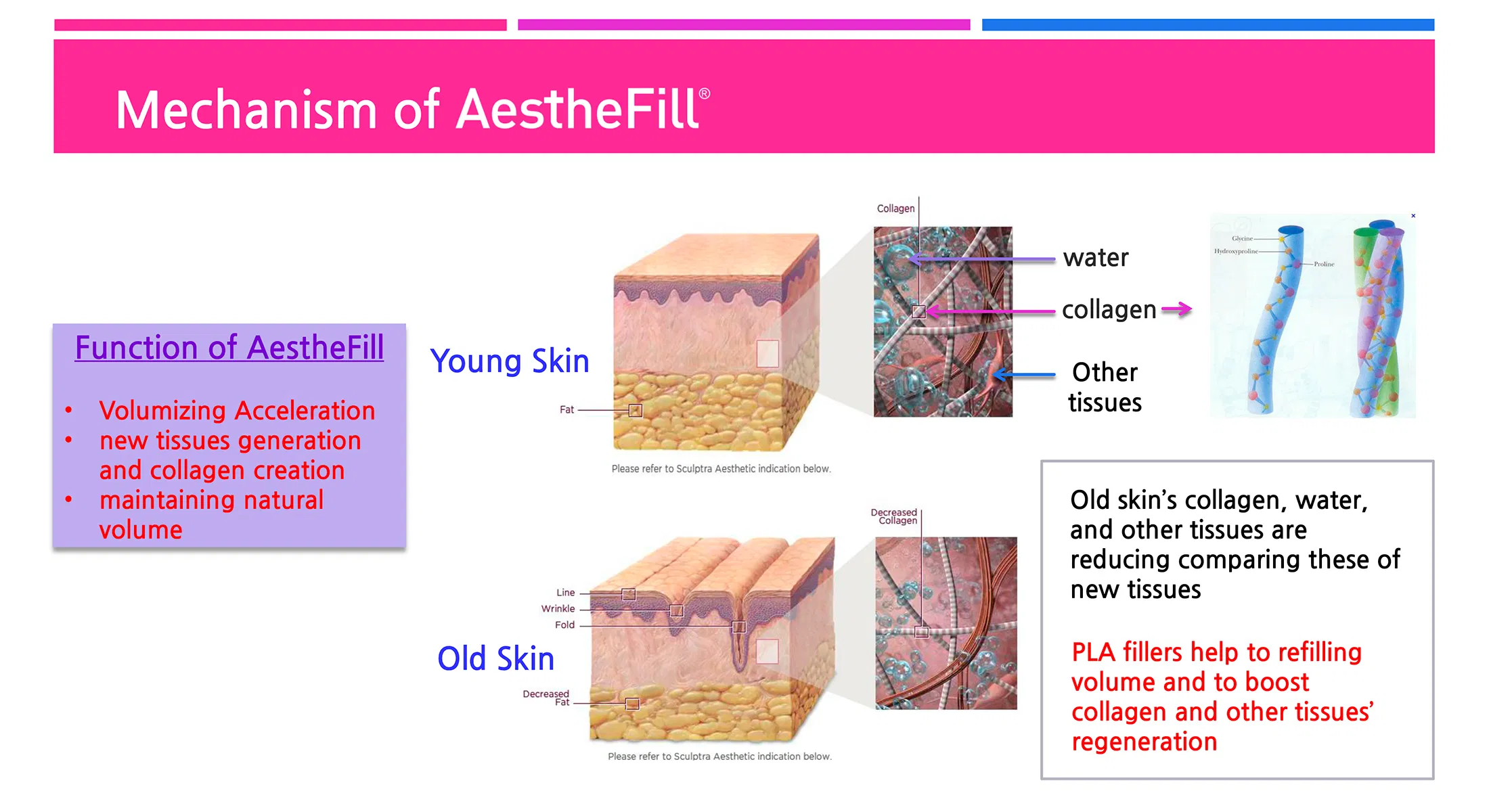 AestheFill · product information