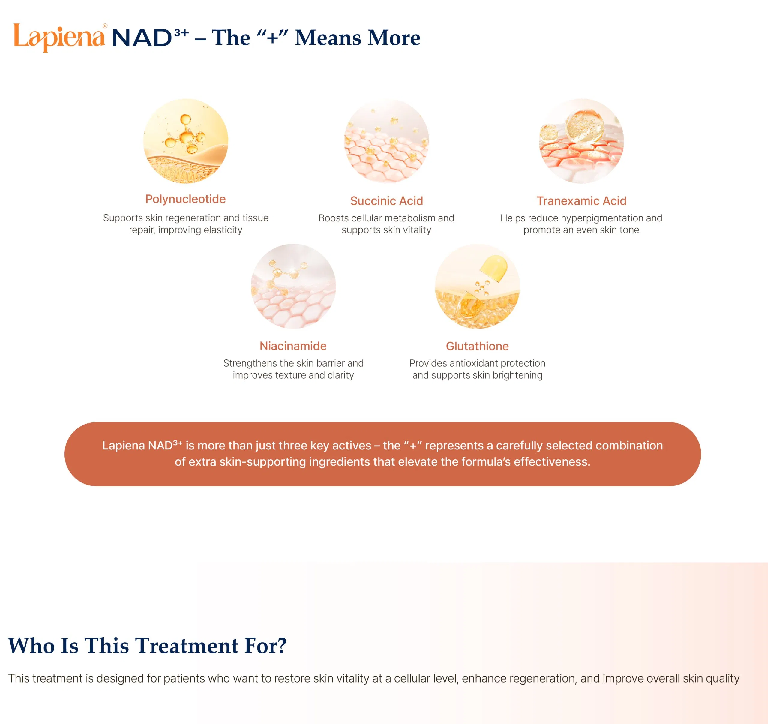 Lapiena NAD3+ · información del producto