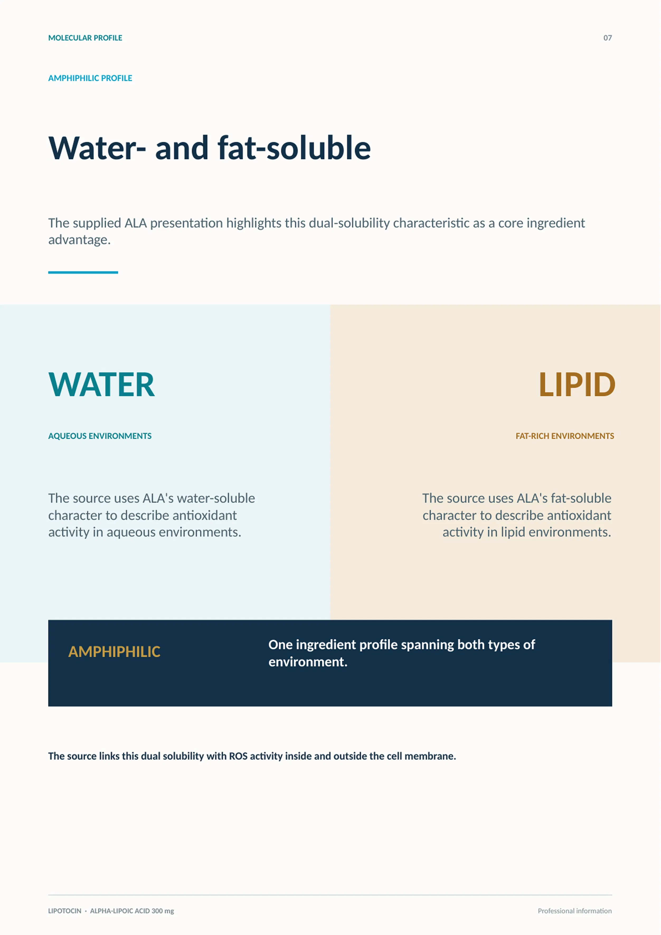 Lipotocin Inj. 300mg · información del producto