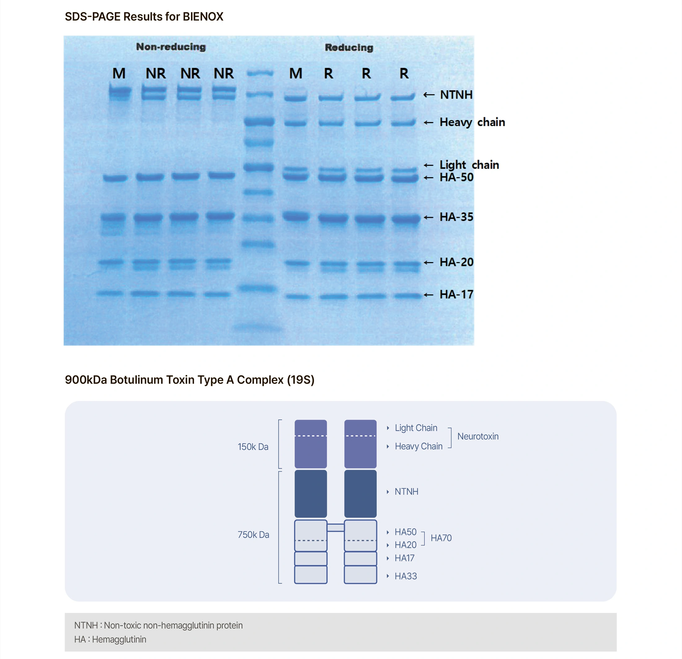Bienox 100 Units · product information