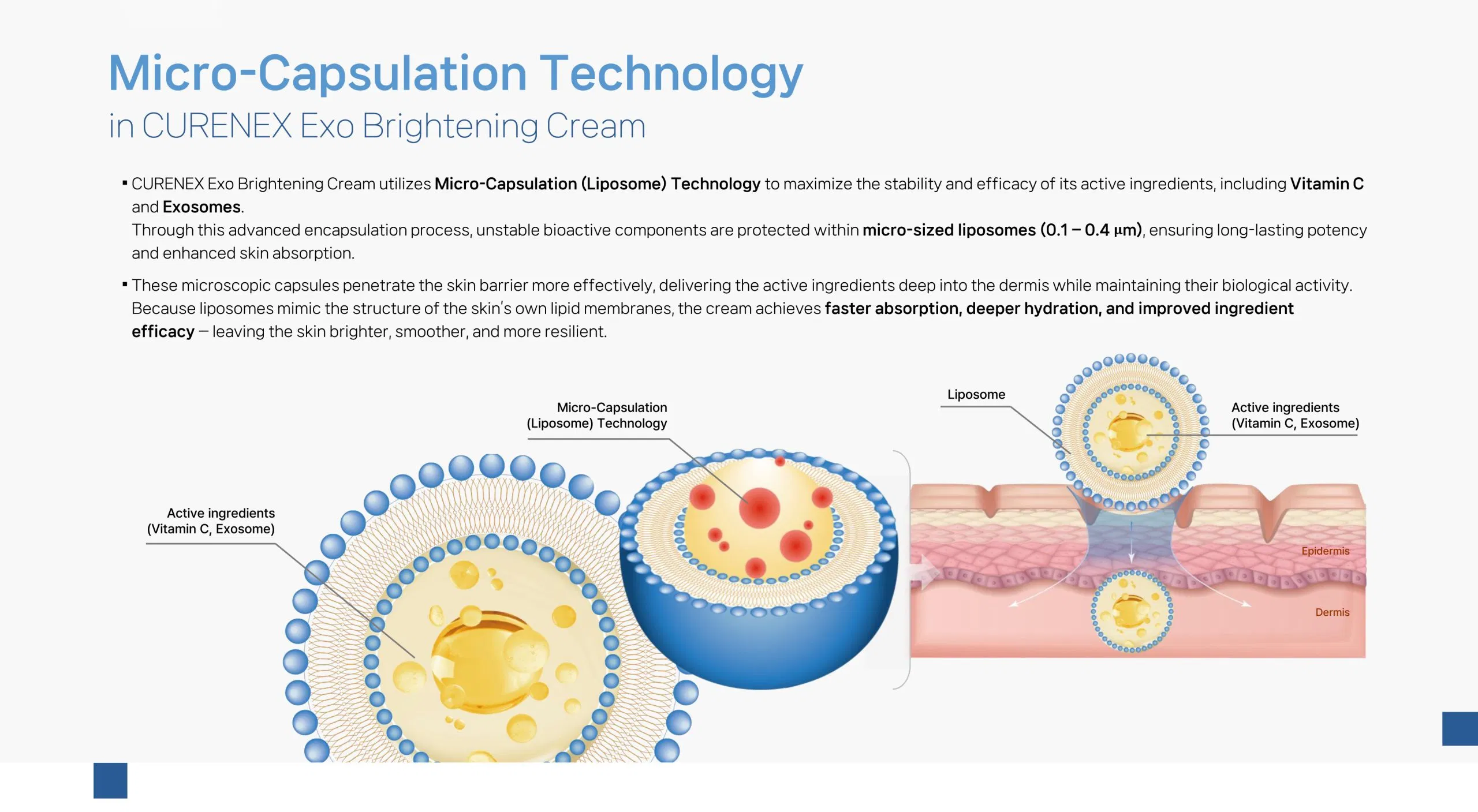 Curenex Exo Brightening Cream · información del producto