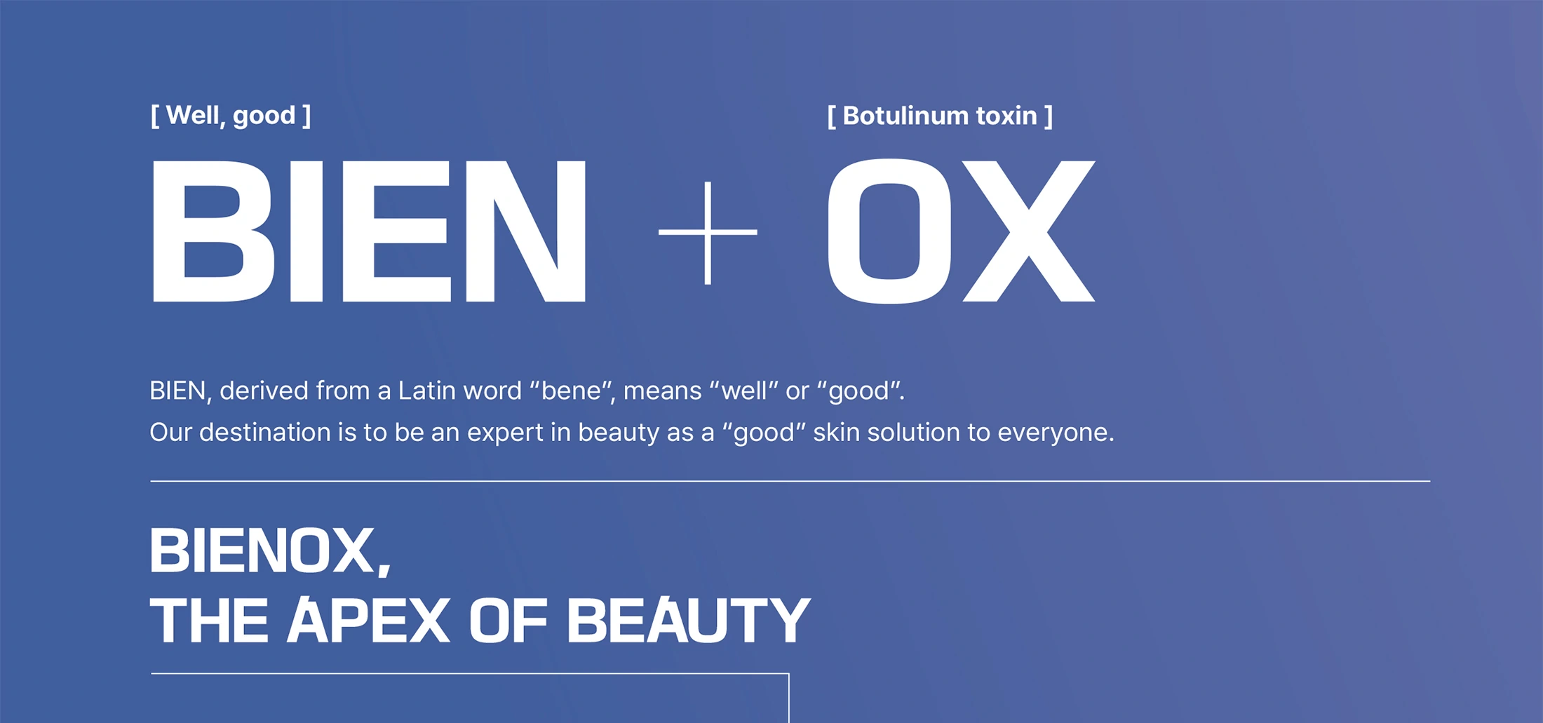 Bienox 100 Units · product information