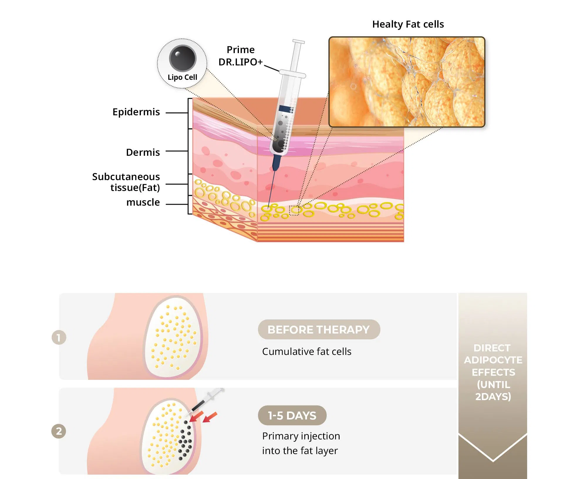 Prime Dr.Lipo+ · product information
