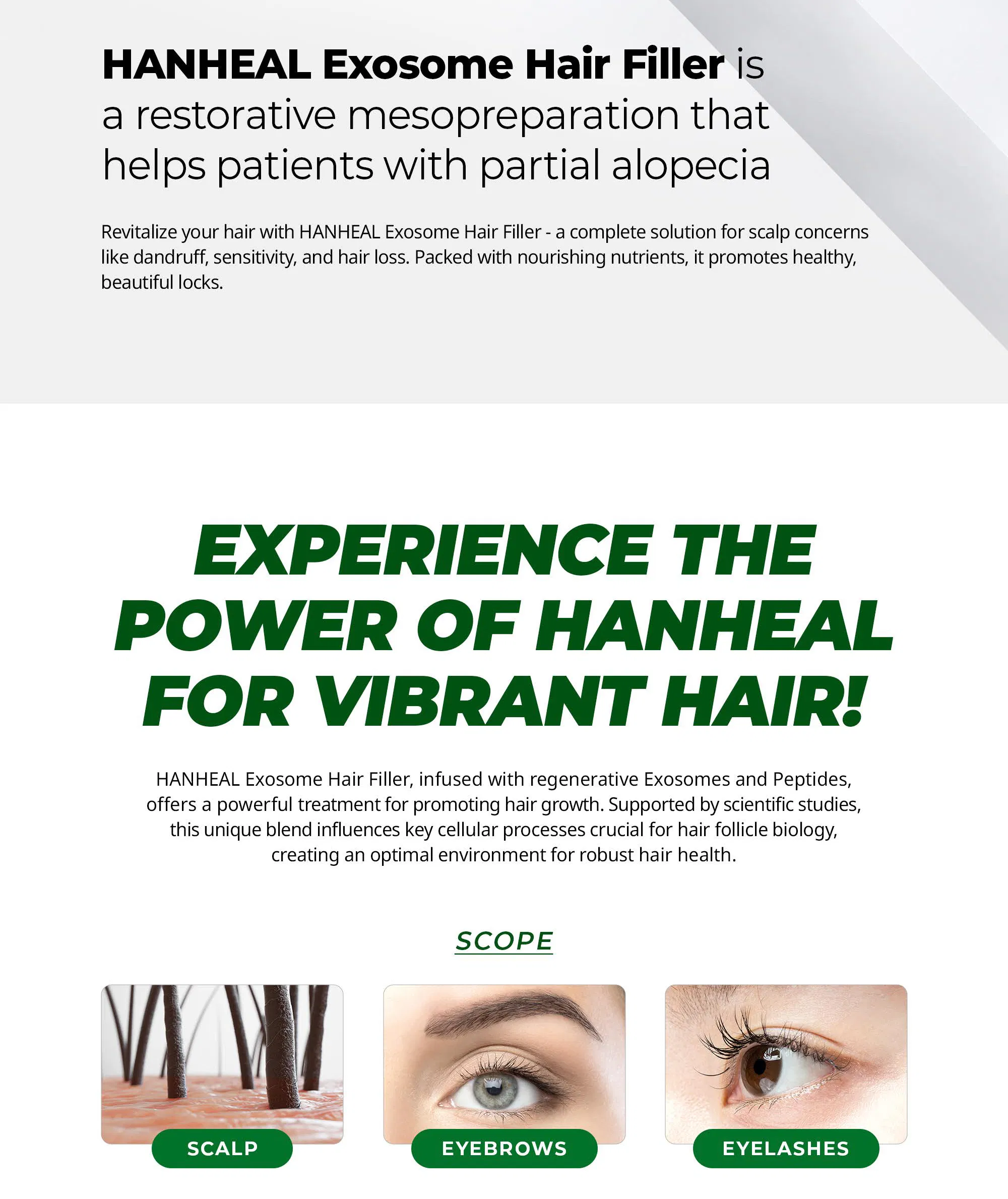 Hanheal Exosome Hair Filler · información del producto