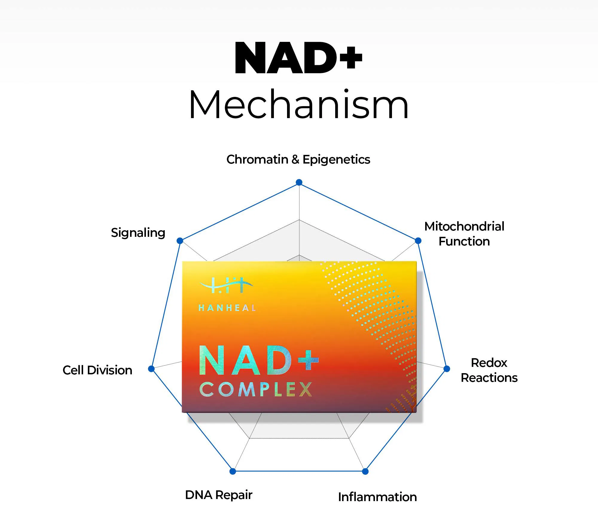 HANHEAL NAD+ Complex · product information