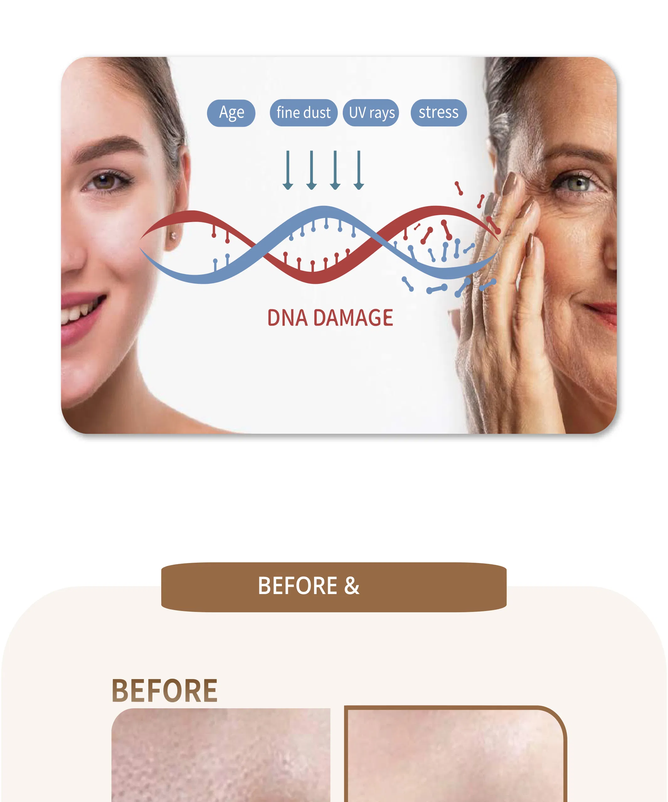 GTM Goldcell 8% · product information