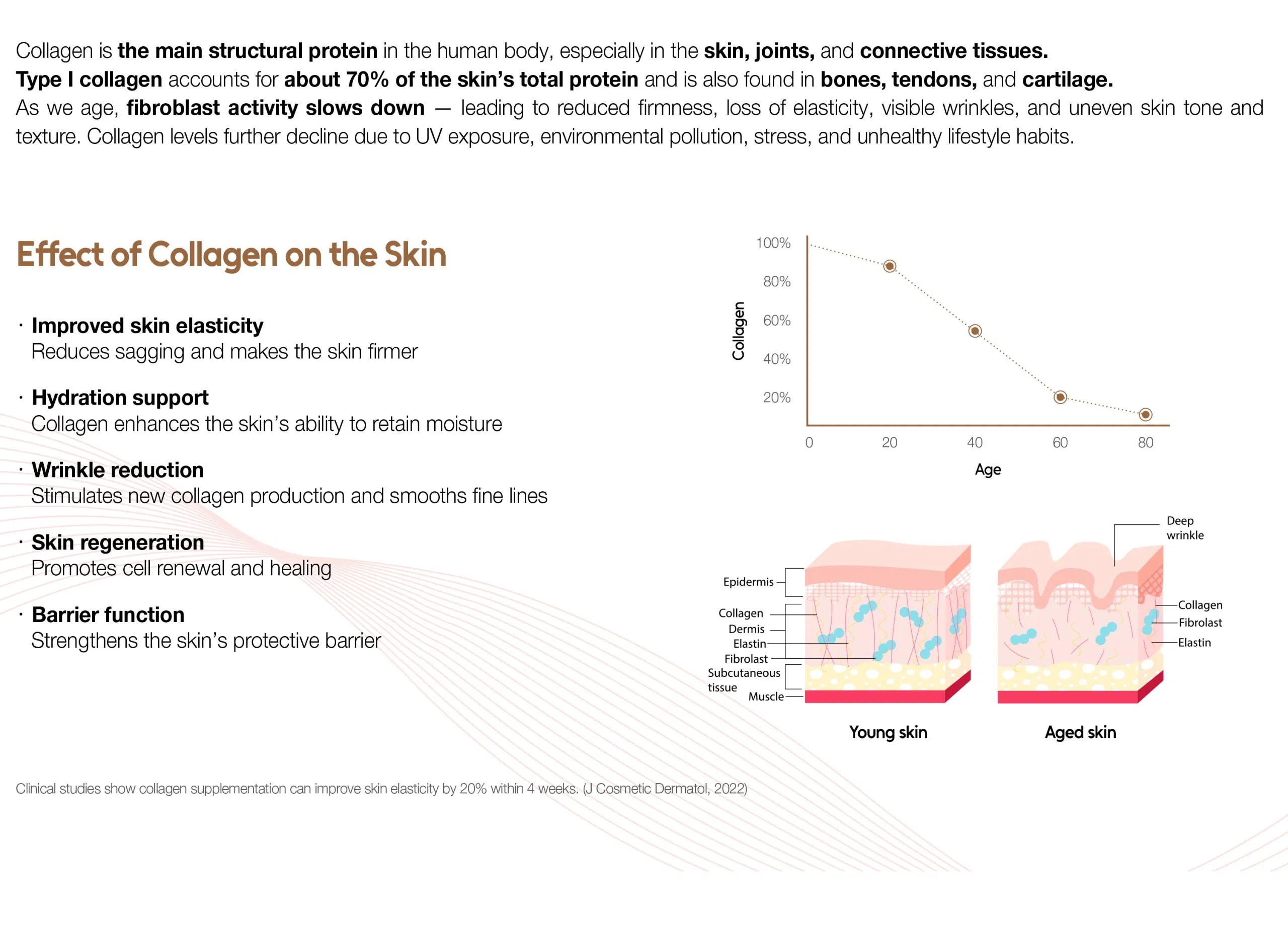 Lapiena RH-X Collagen · product information