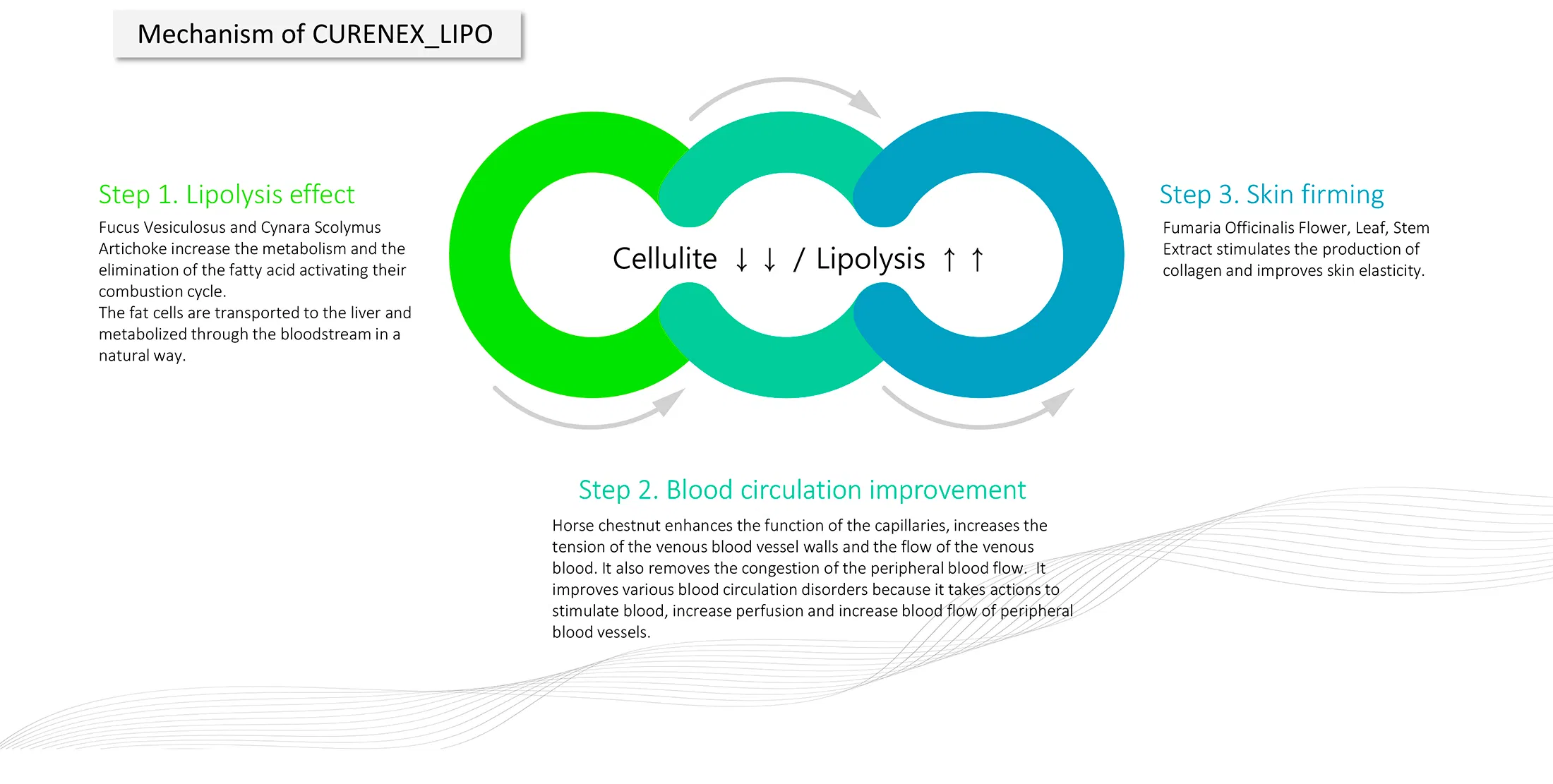 Curenex Lipo · product information