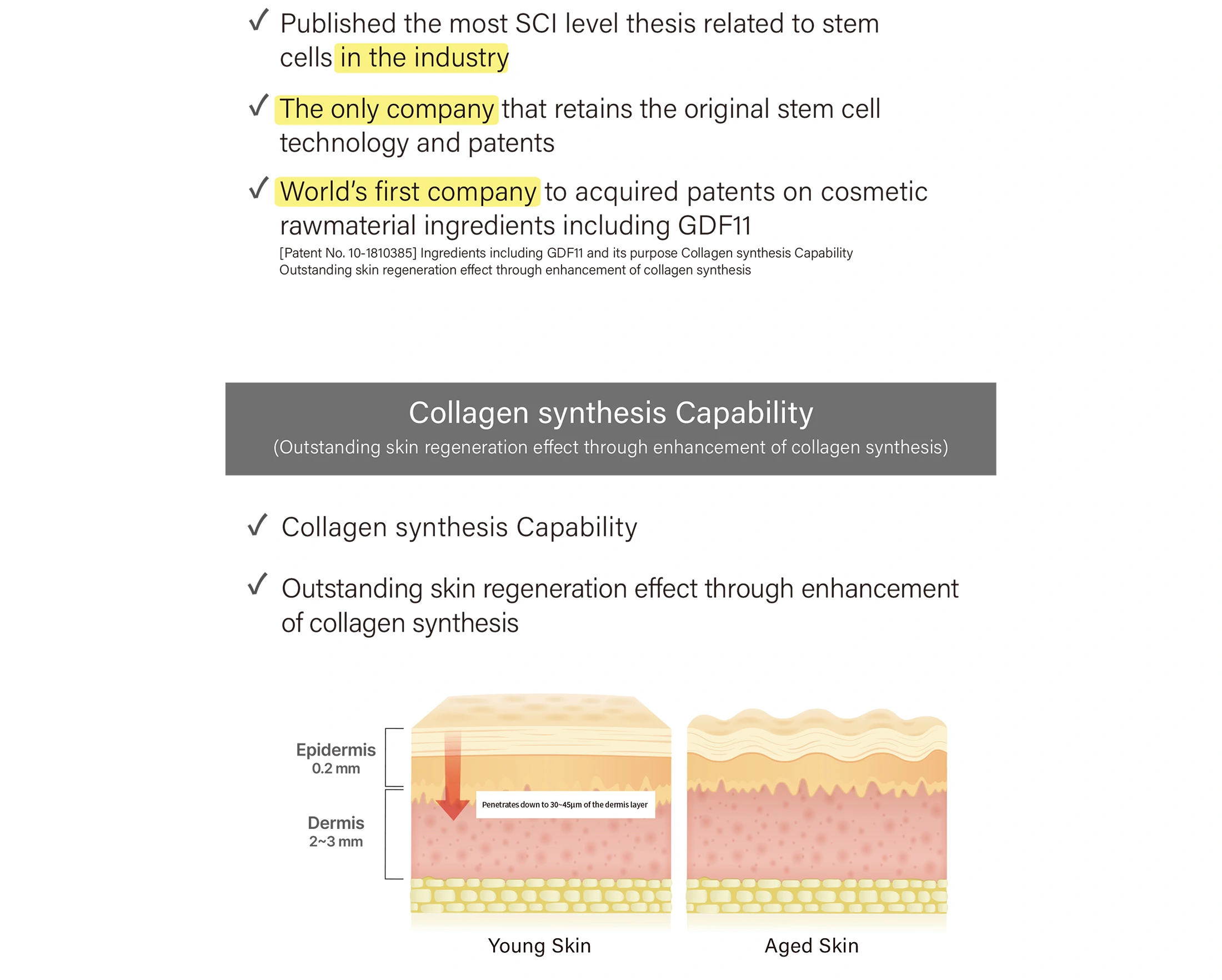 Cellsia Cream · product information