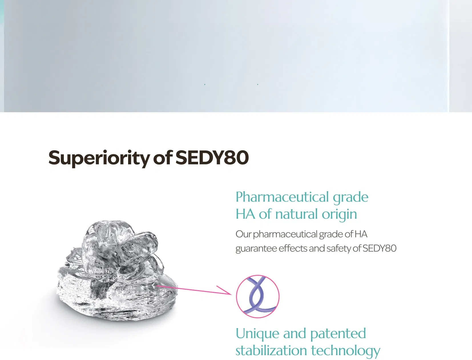 Sedy Fill Body Filler 80ml · product information
