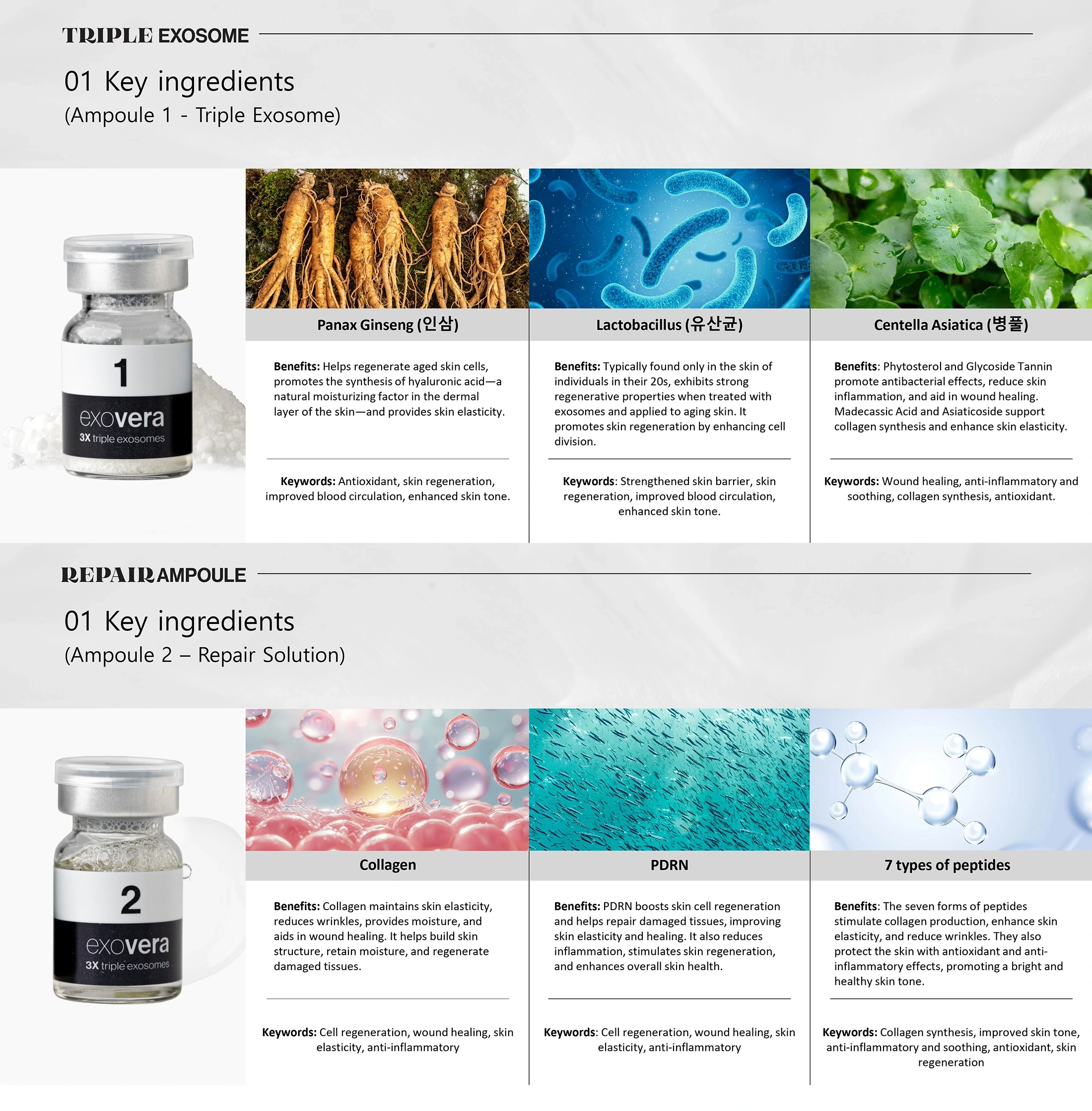 Exovera 3X · product information