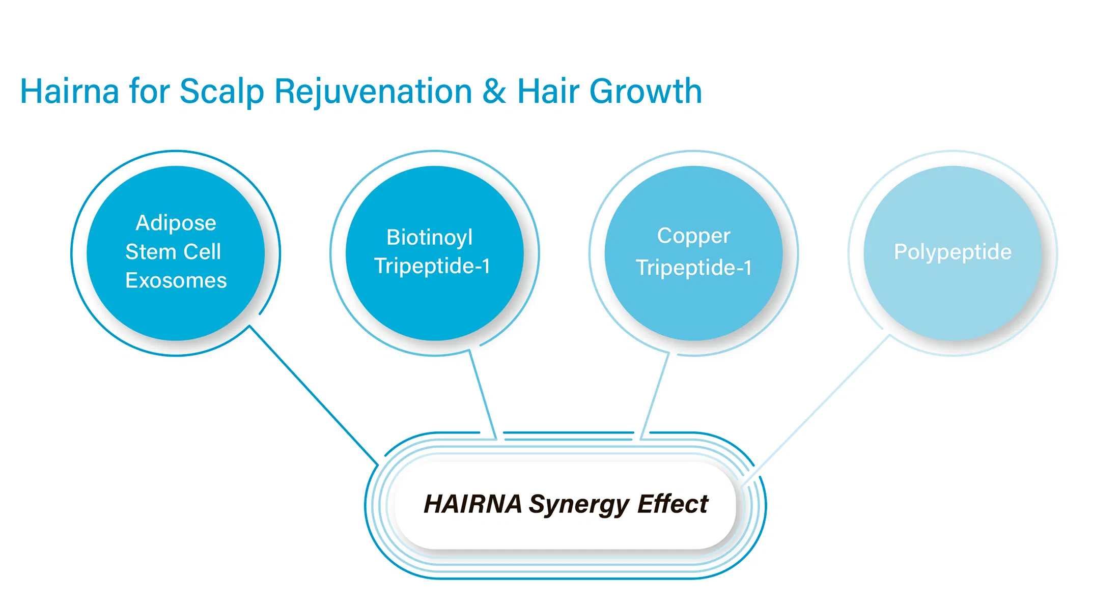 HAIRNA Exosome Hair Fill · información del producto