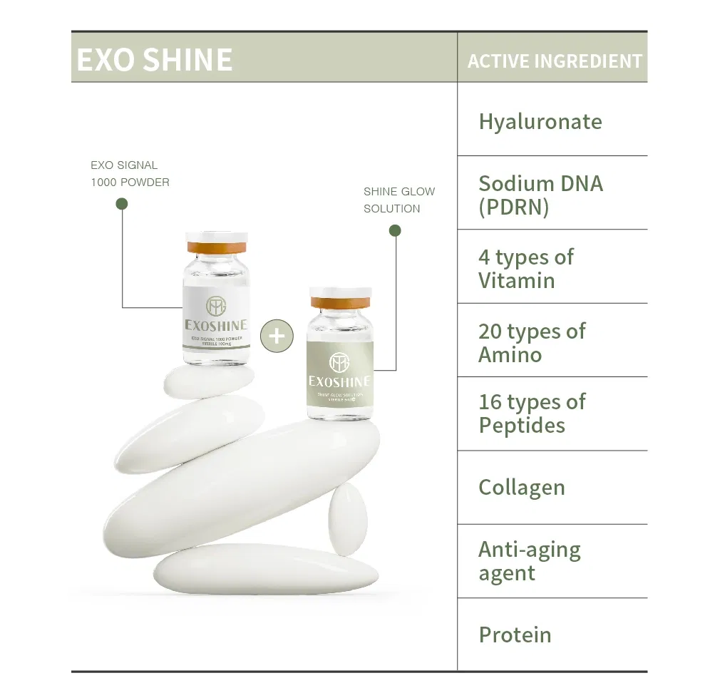 GTM Exoshine · product information