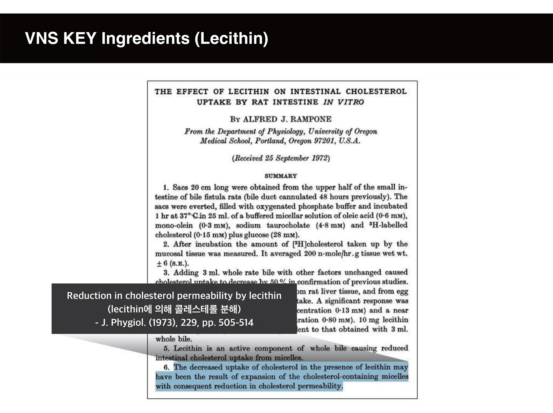 VNS - Lipolytic Solution · product information