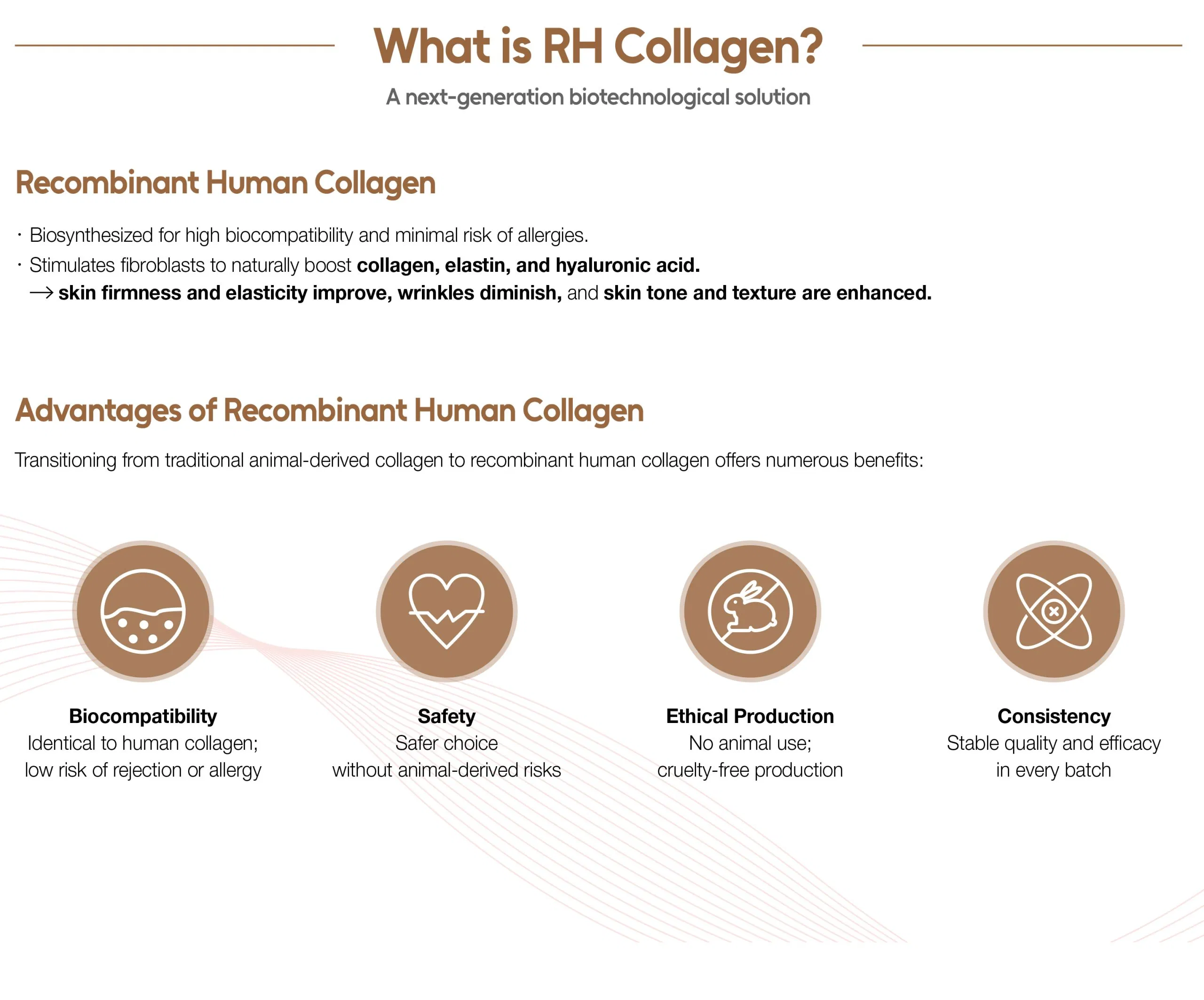 Lapiena RH-X Collagen · product information