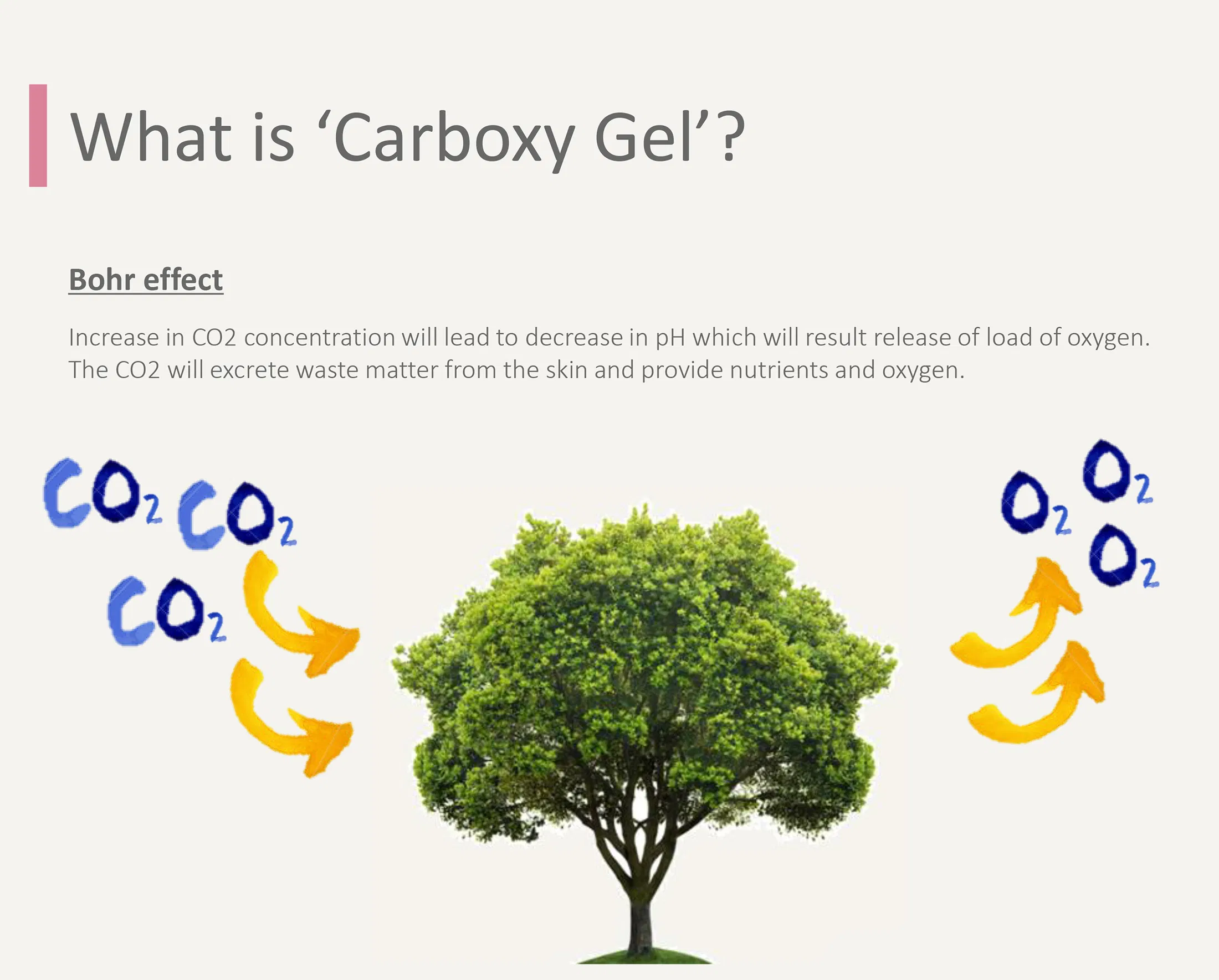 Riox, mascarilla de carbono CO2 rica en oxígeno · información del producto