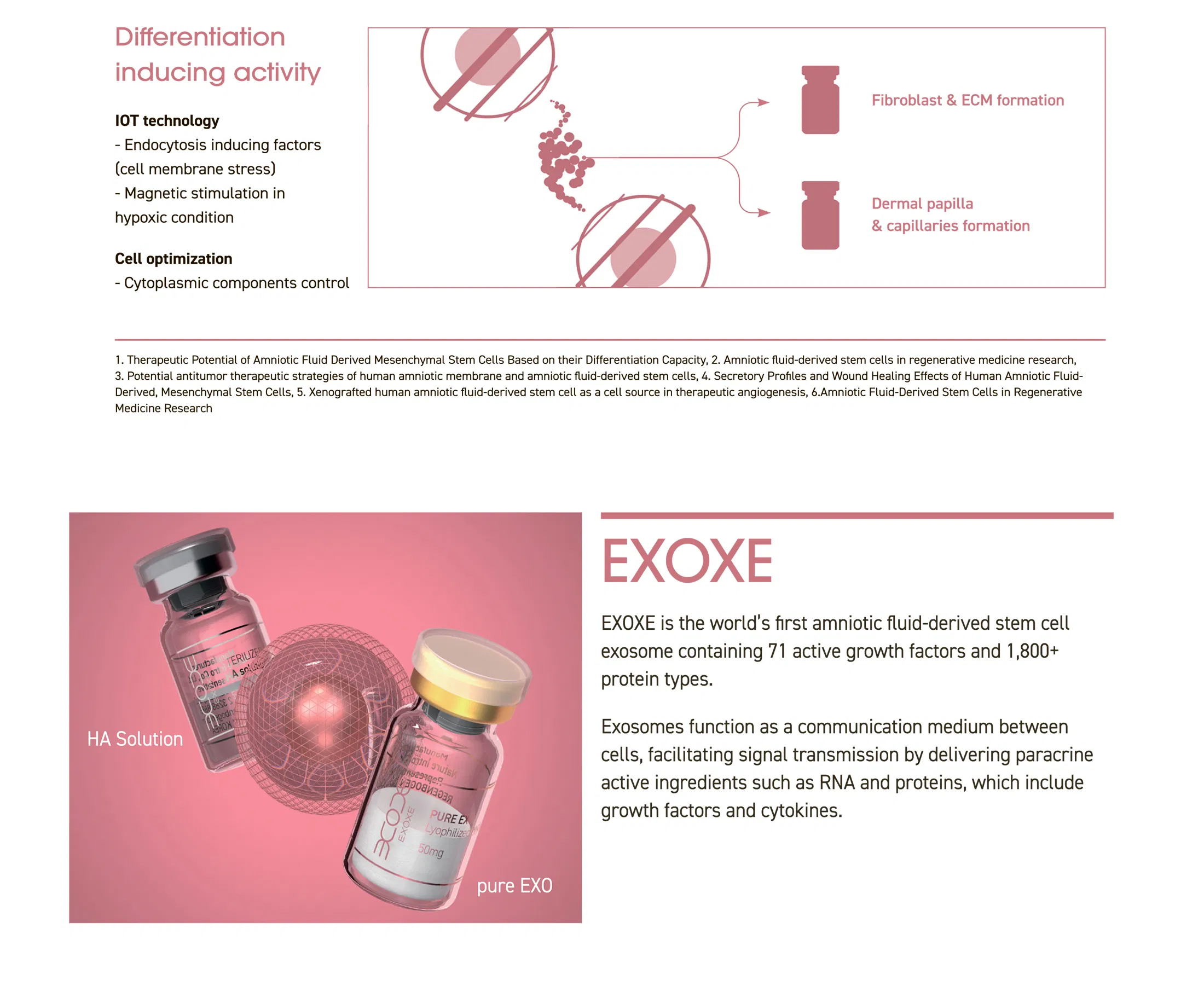 EXOXE · información del producto