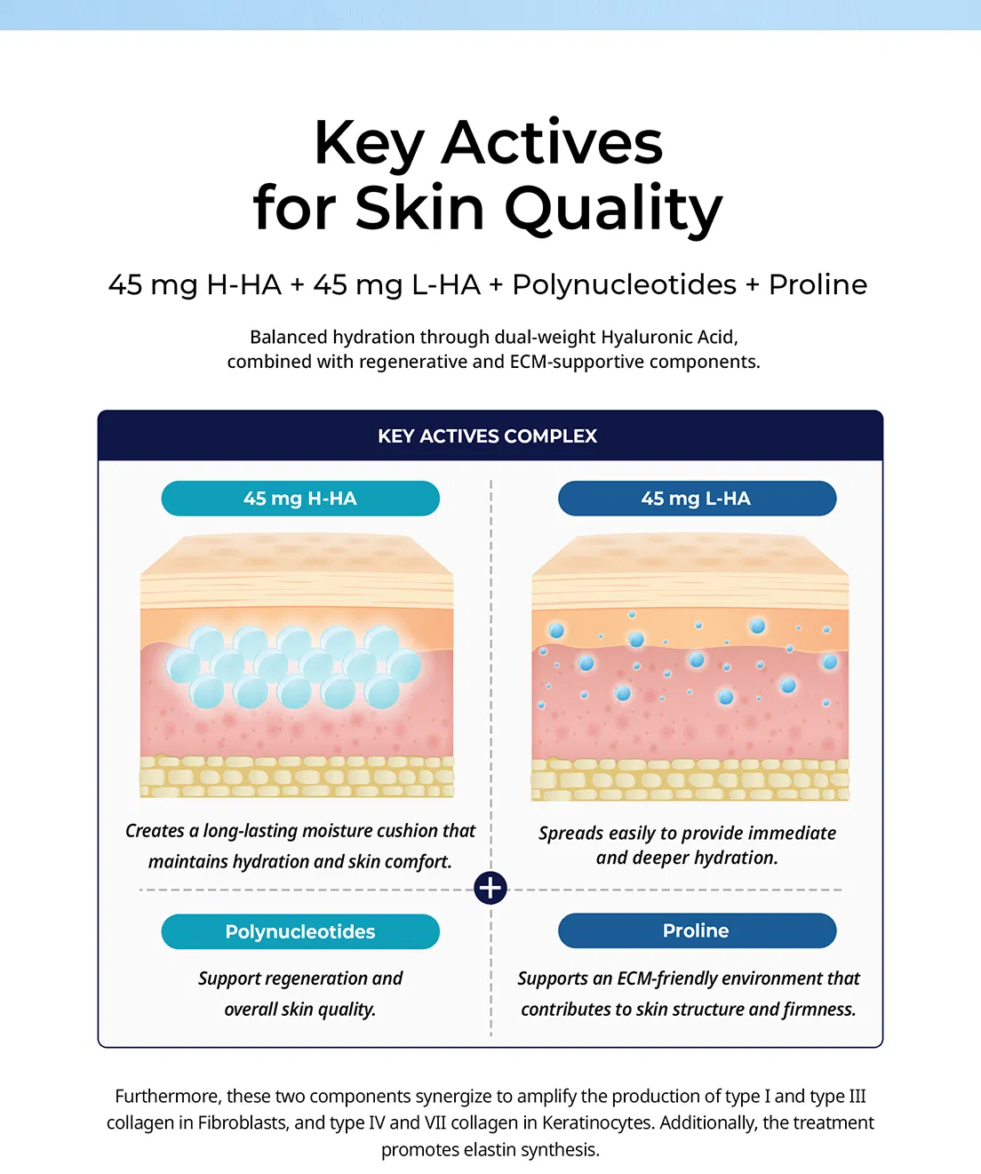 Hyalace · product information