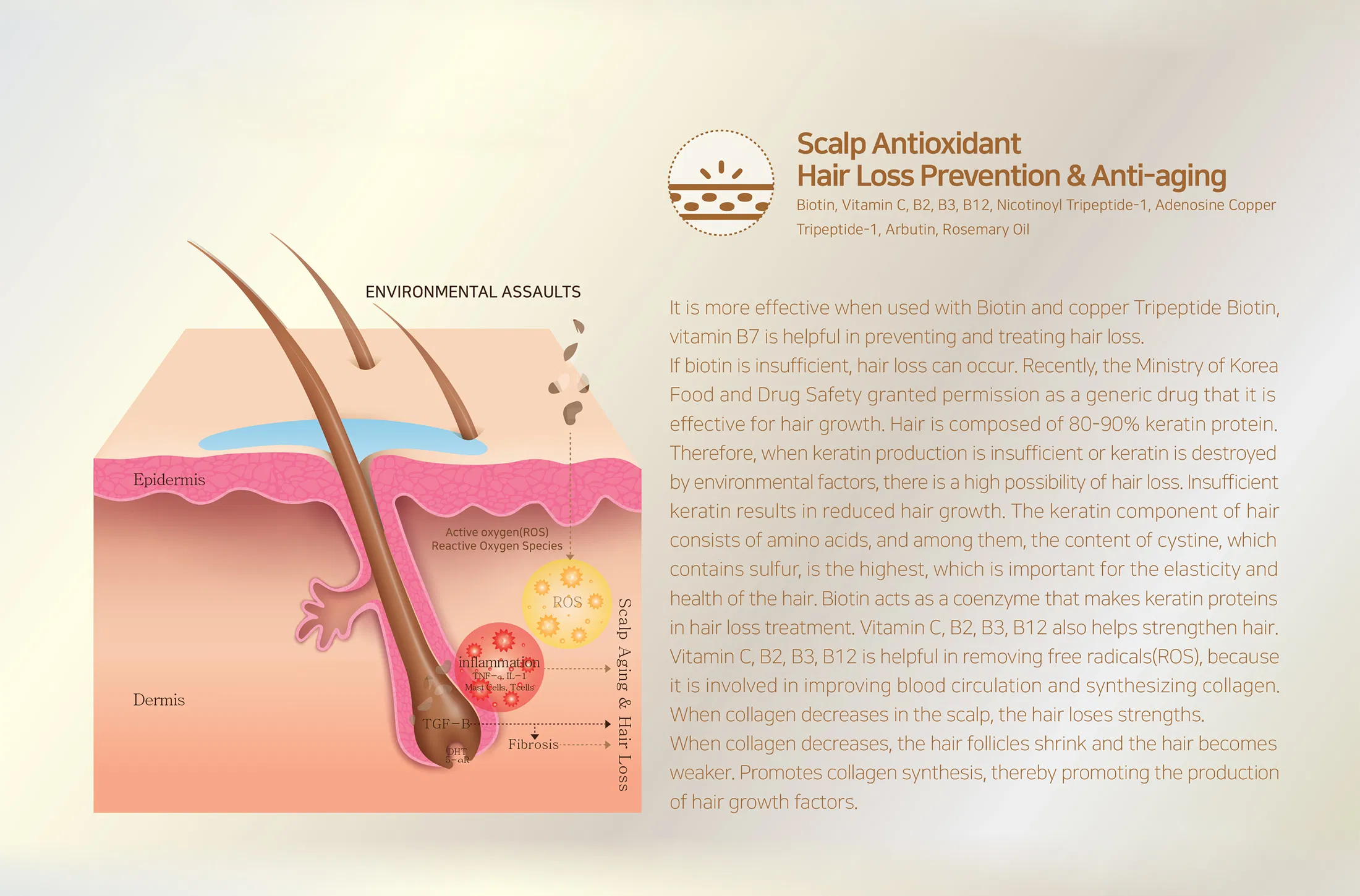 Sappire Hair Rich · información del producto