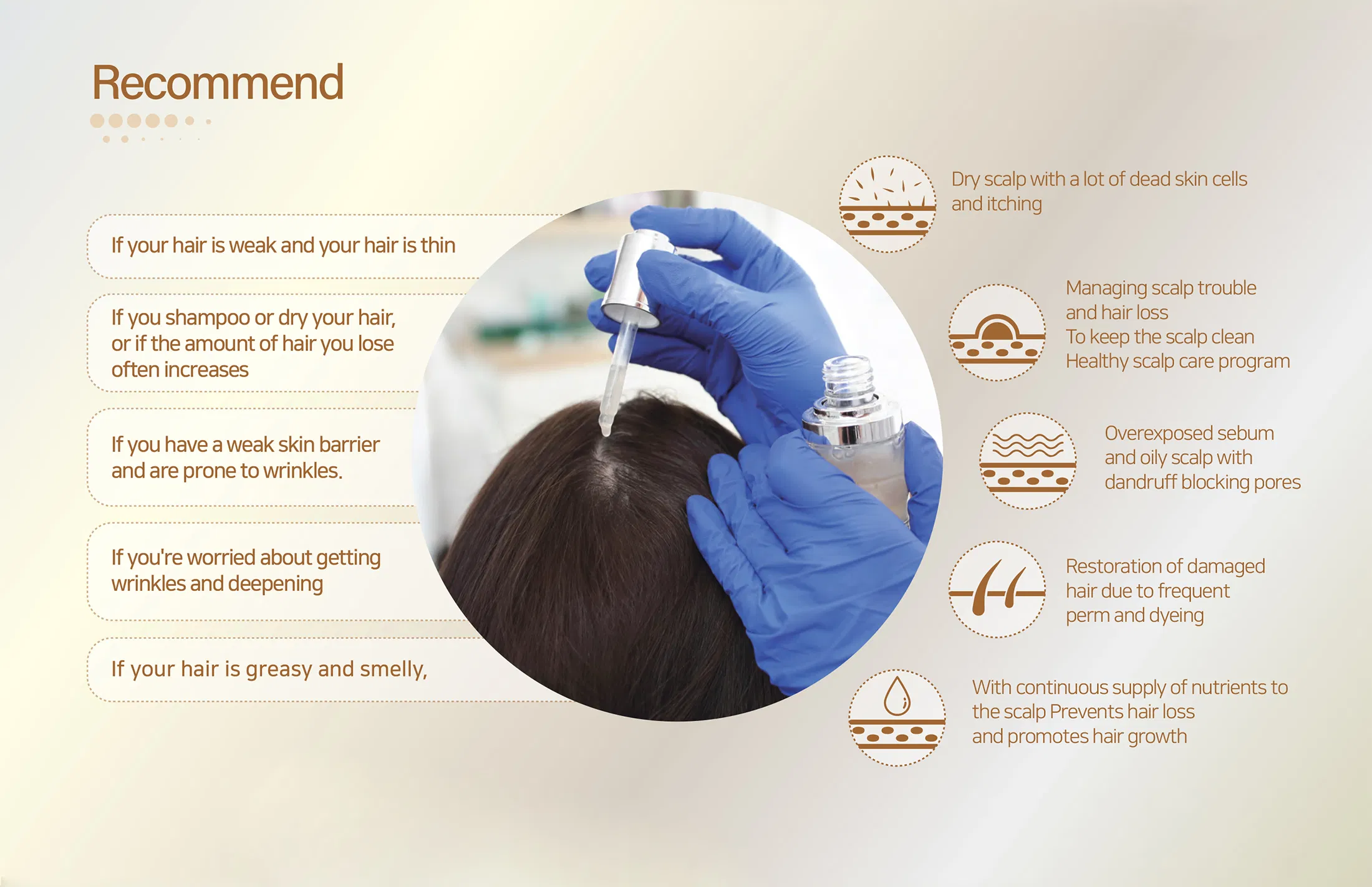 Sappire Hair Rich · información del producto