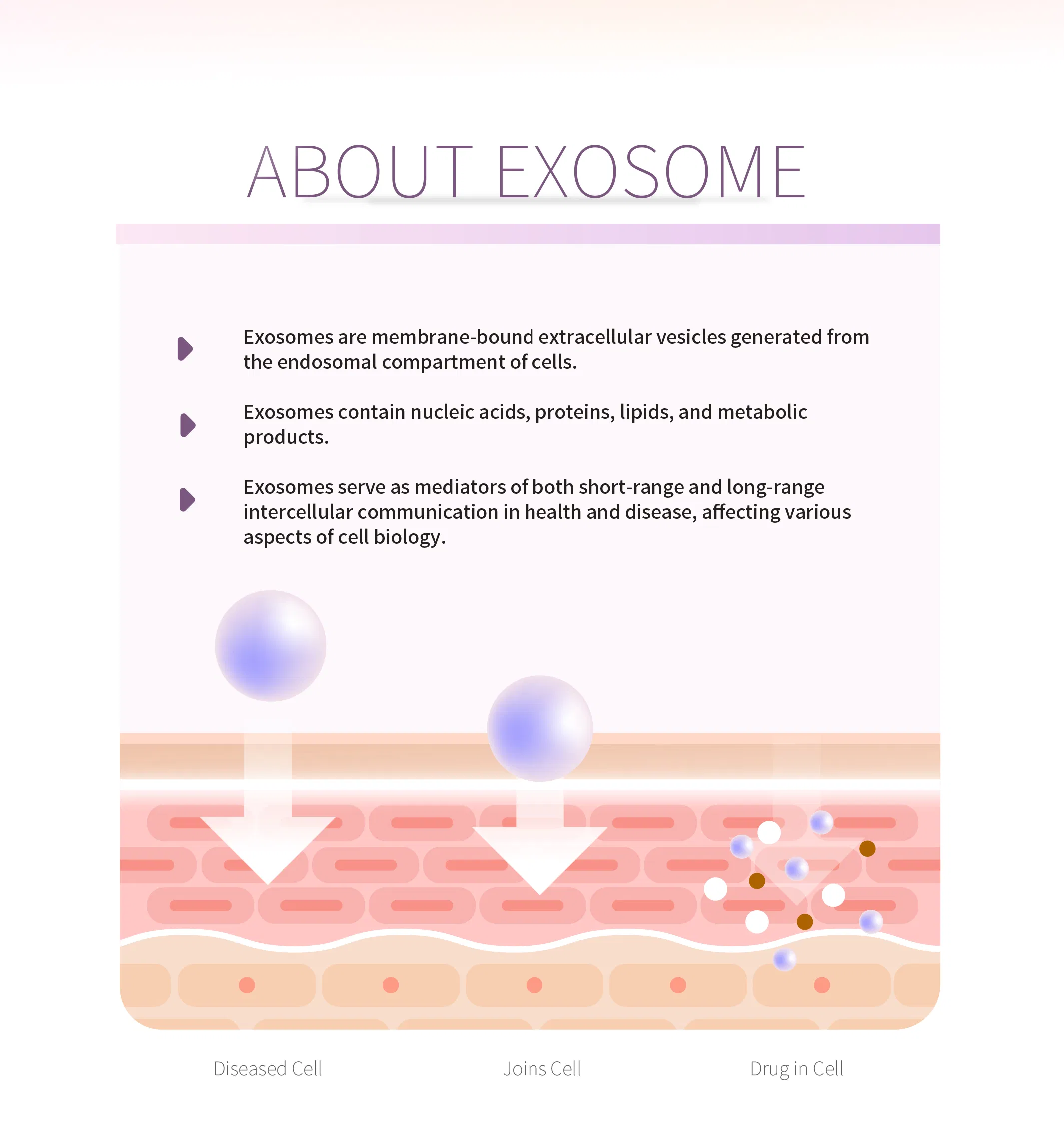 GTM Exomela · product information