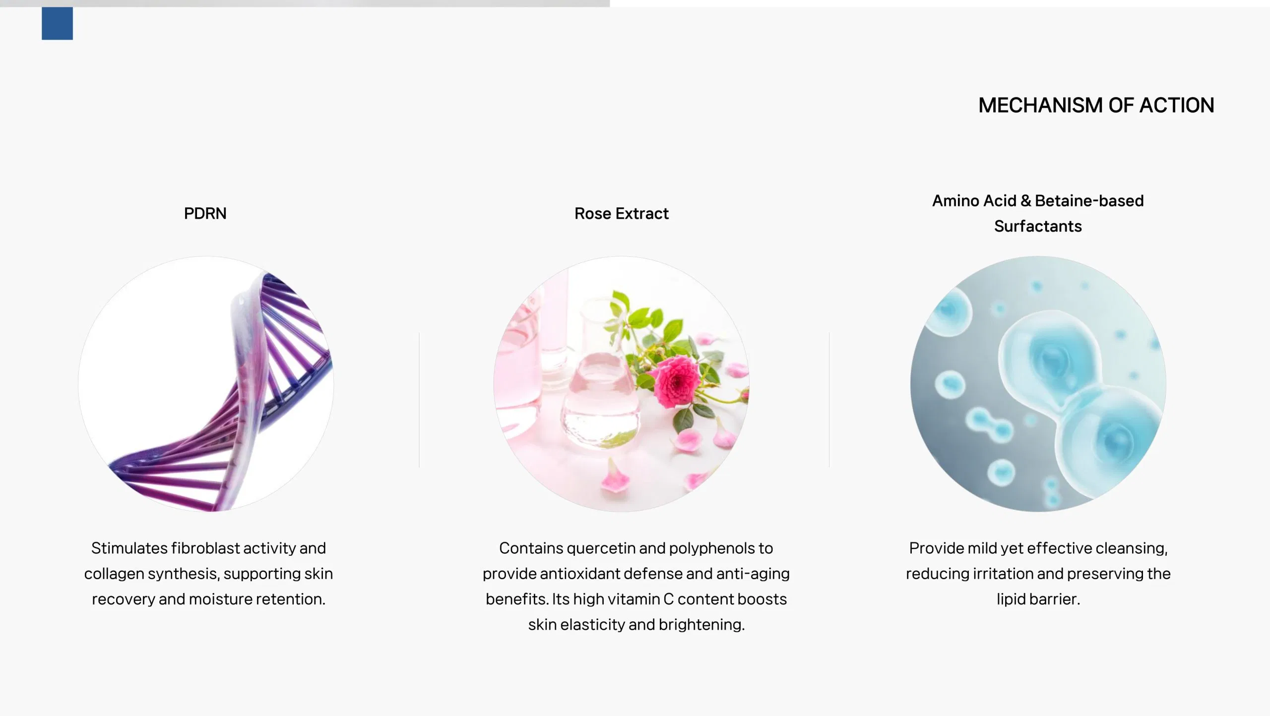 Curenex Hydrating Cleanser · product information