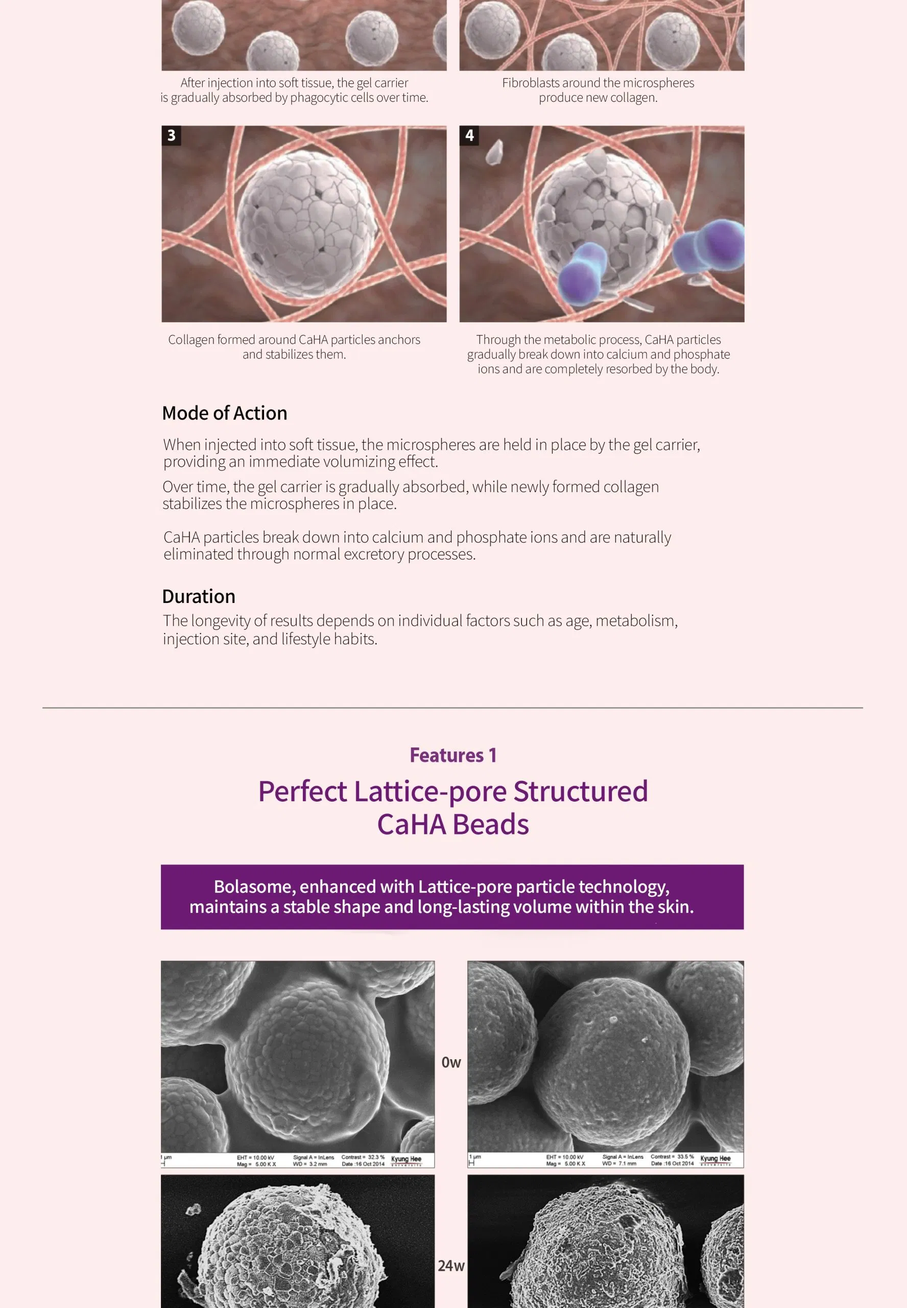 Volassom · product information