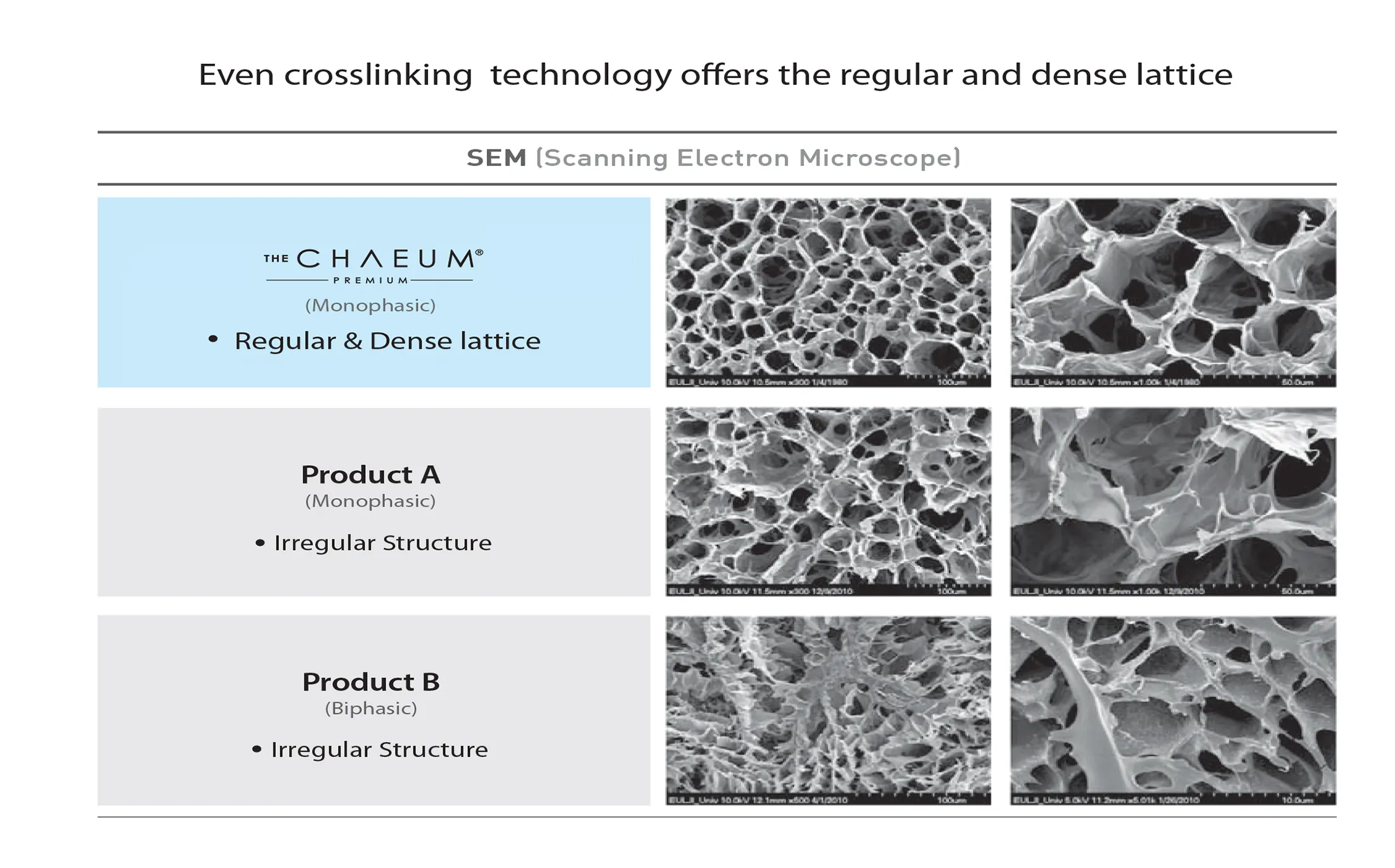 The Chaeum Premium #2 · product information