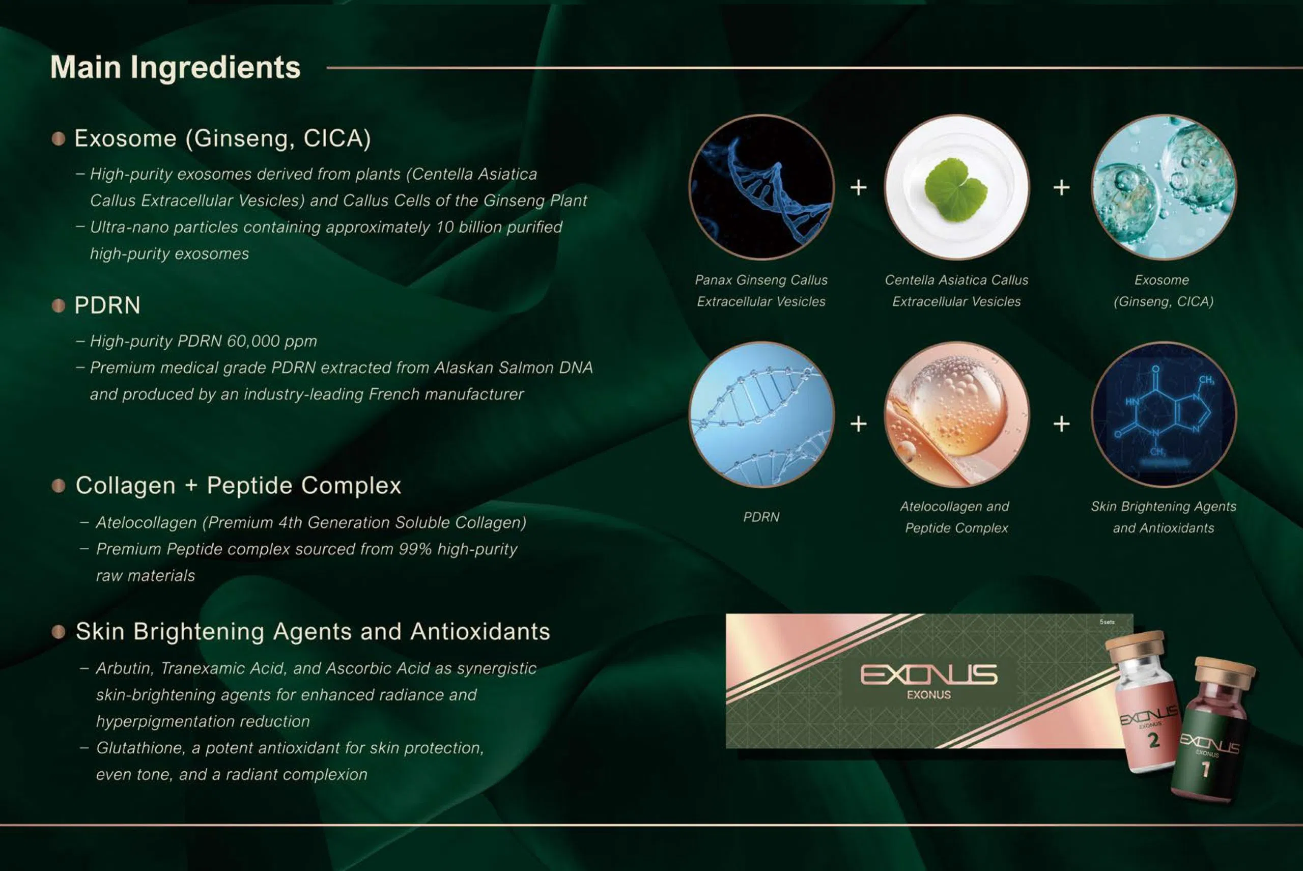Exonus · product information