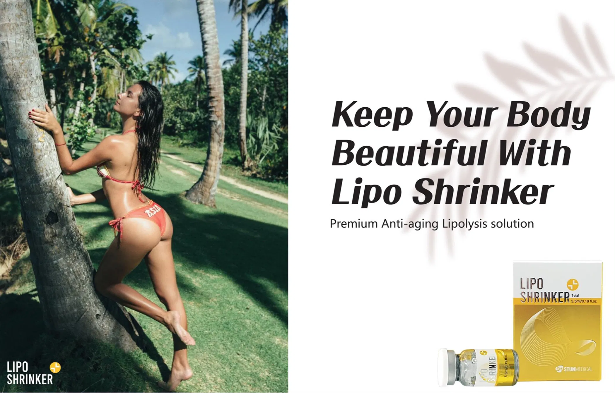 Lipo Shrinker (1 vial) · product information
