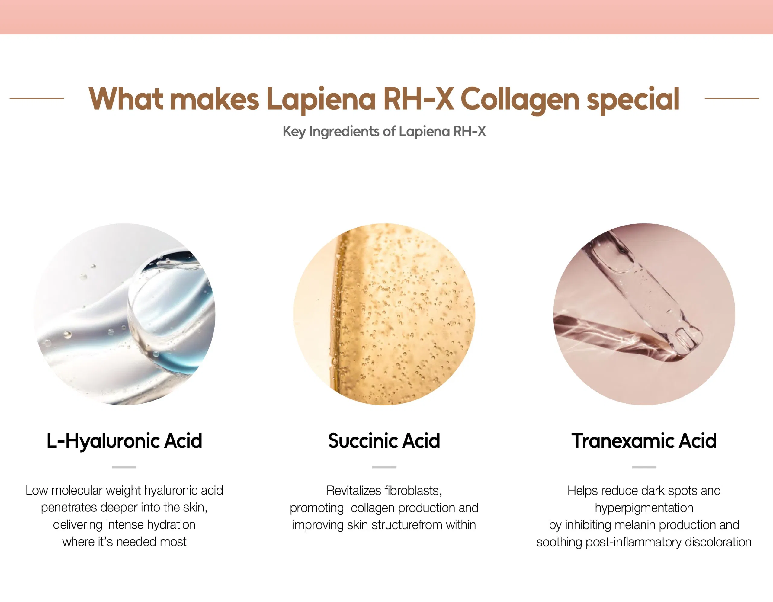 Lapiena RH-X Collagen · product information